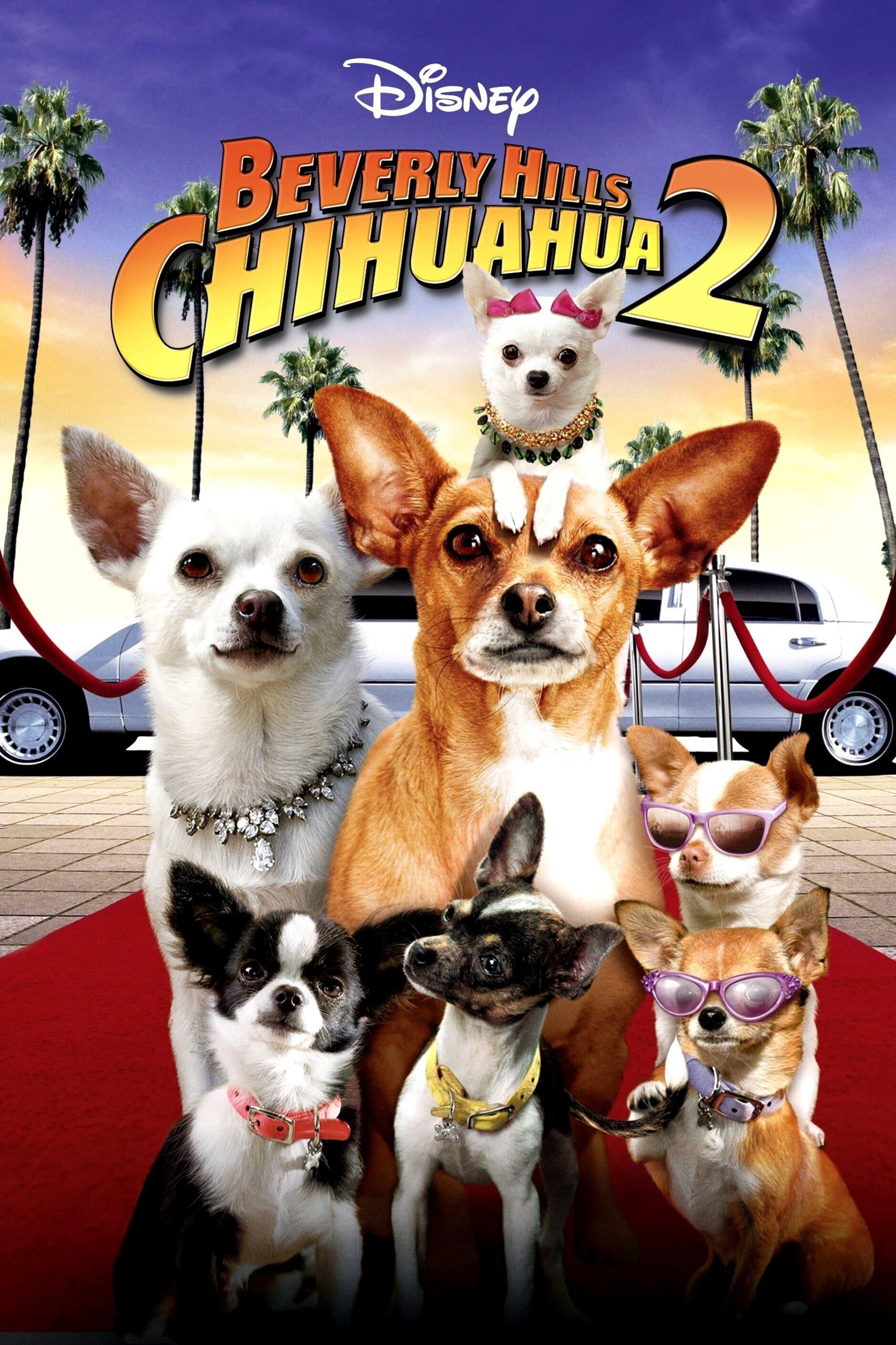Beverly Hills Chihuahua 2 photo