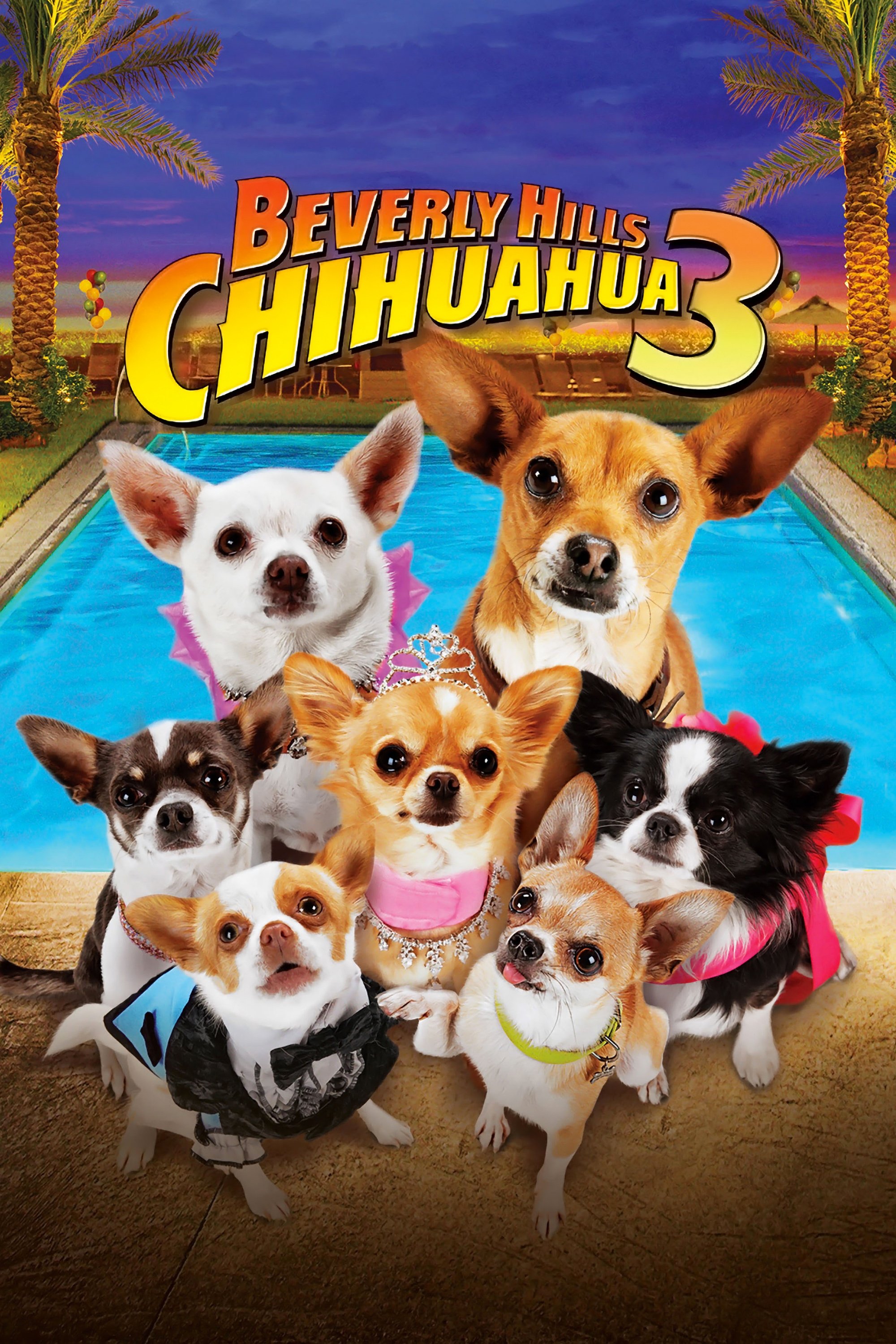 Beverly Hills Chihuahua 3: Viva la Fiesta! photo
