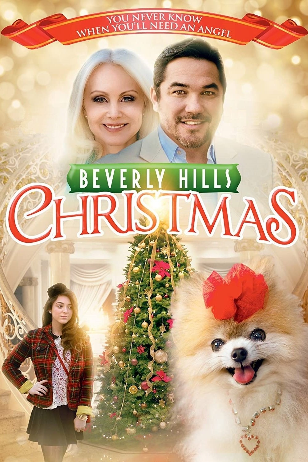 Beverly Hills Christmas photo