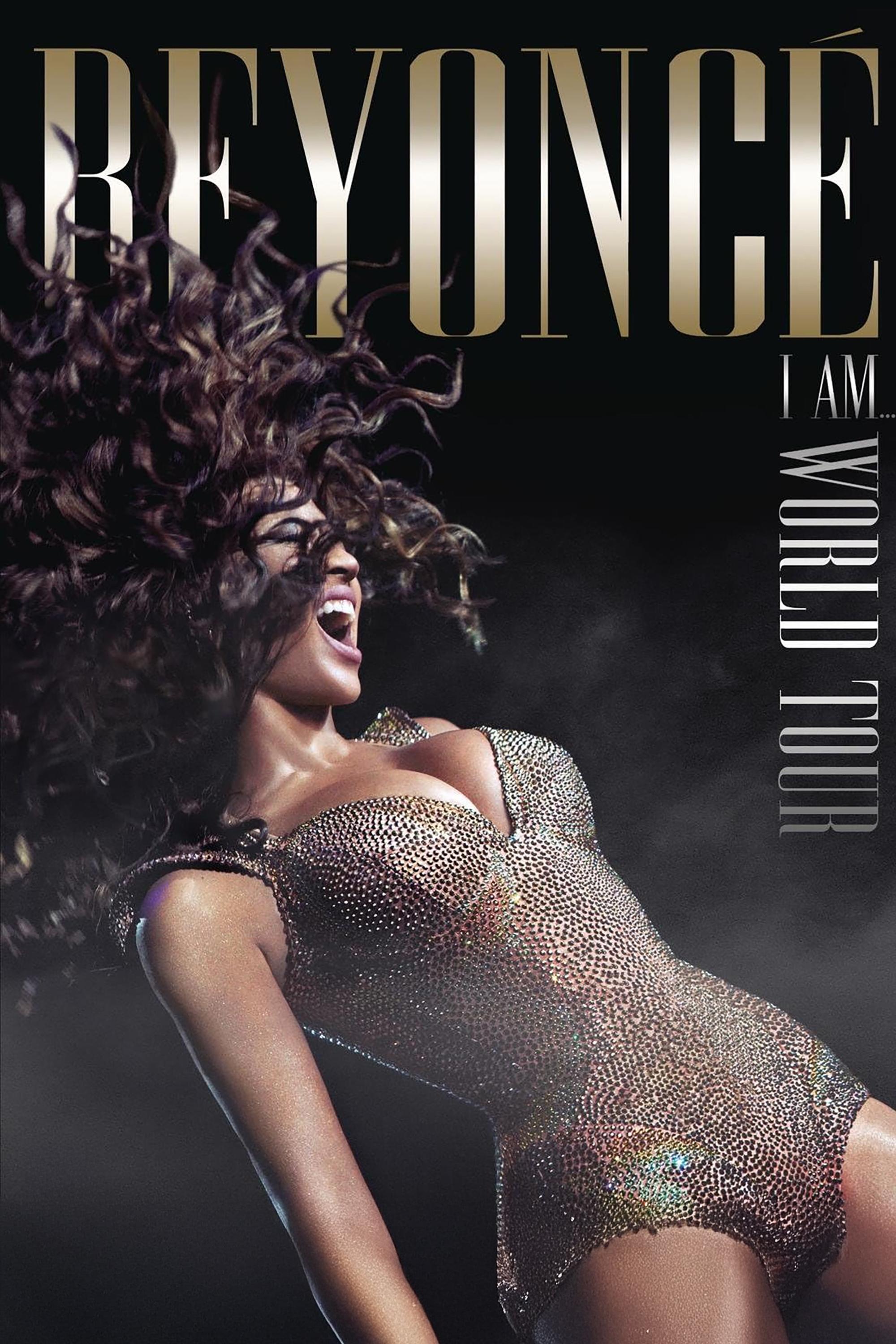 Beyoncé: I Am... World Tour photo