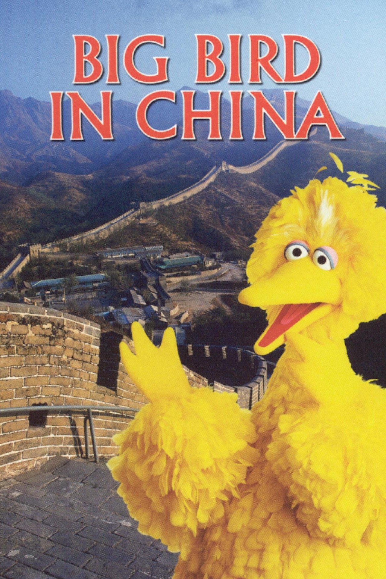 Big Bird in China photo
