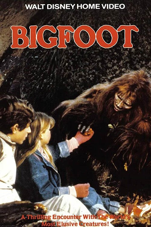 Bigfoot photo