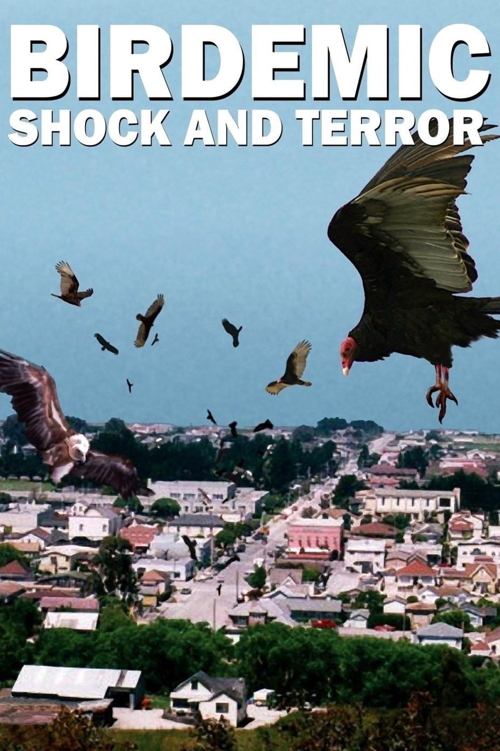 Birdemic: Shock and Terror photo