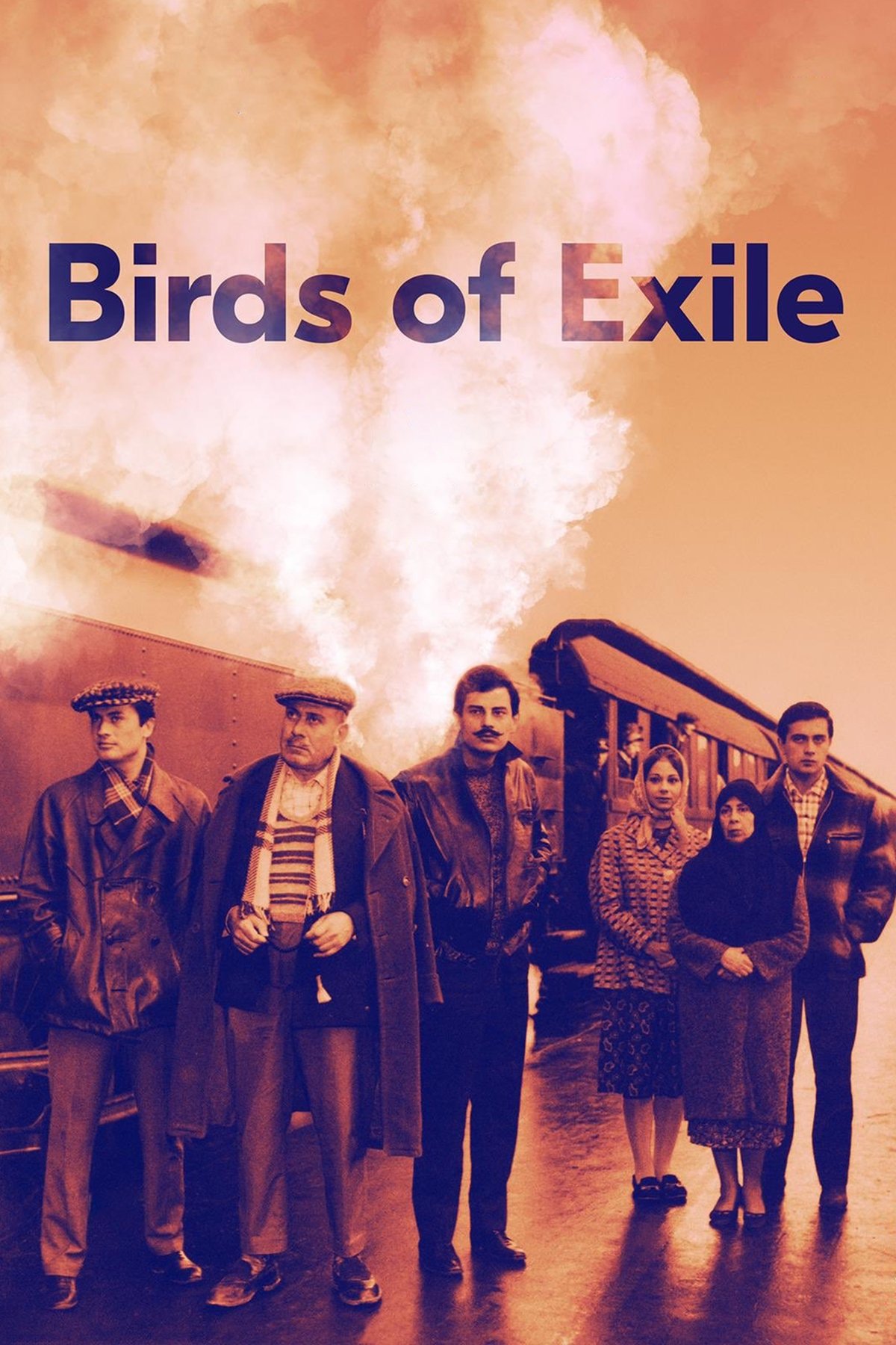Birds of Exile photo