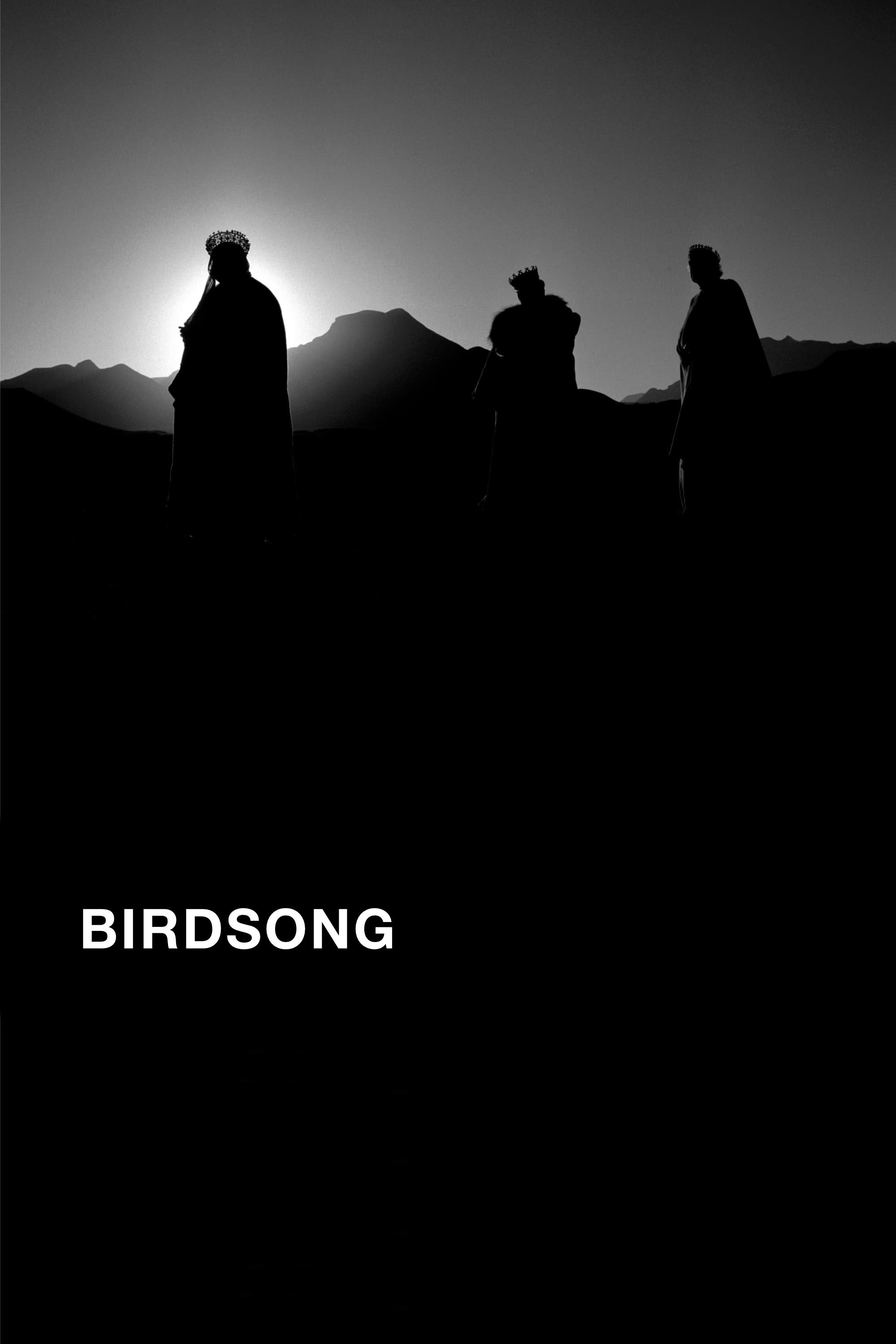 Birdsong photo