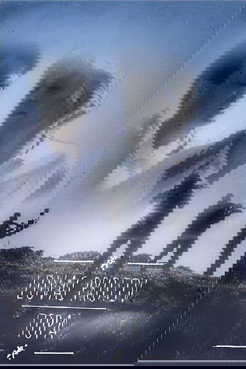 Bishop vs. Rook photo