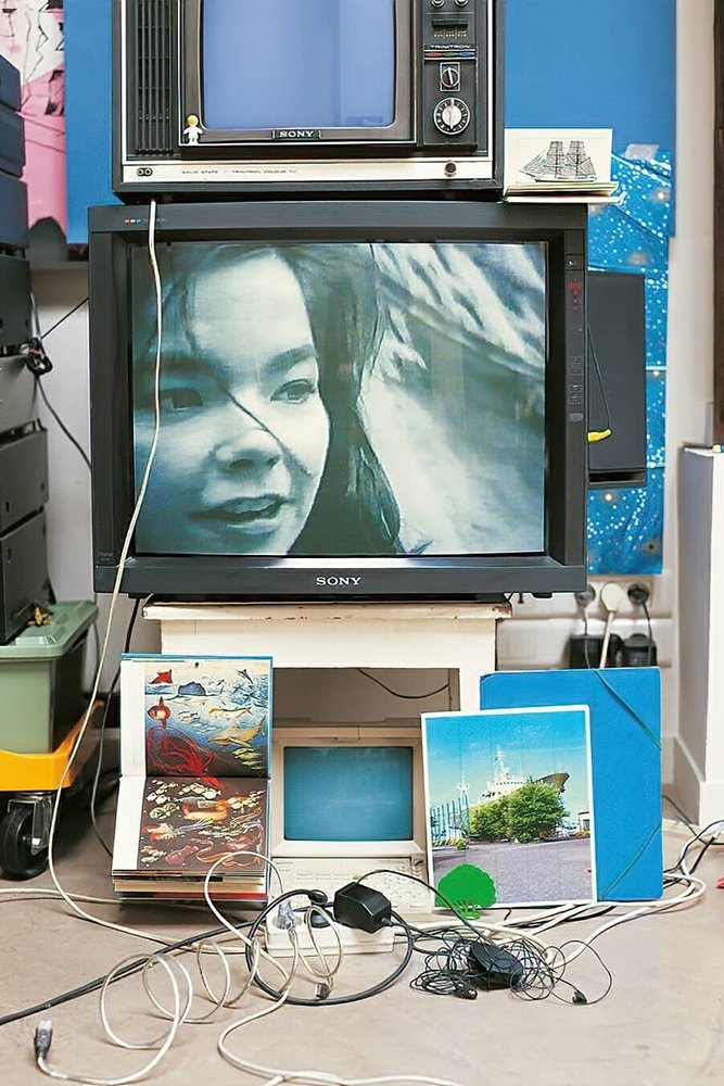 Björk: Vessel 1994 photo