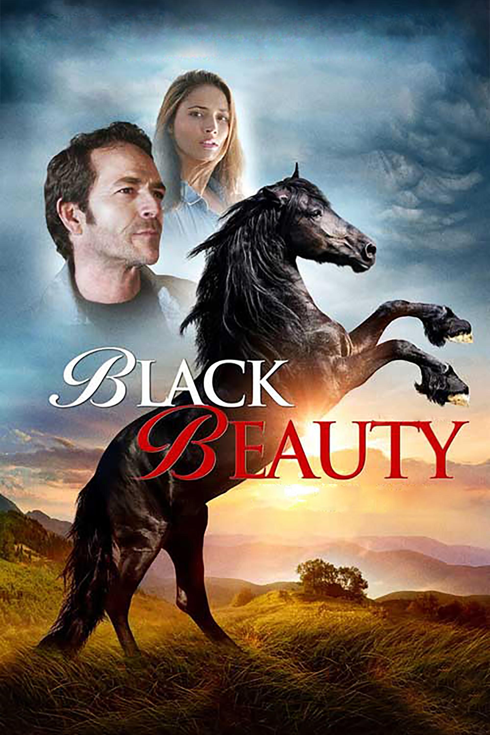 Black Beauty photo