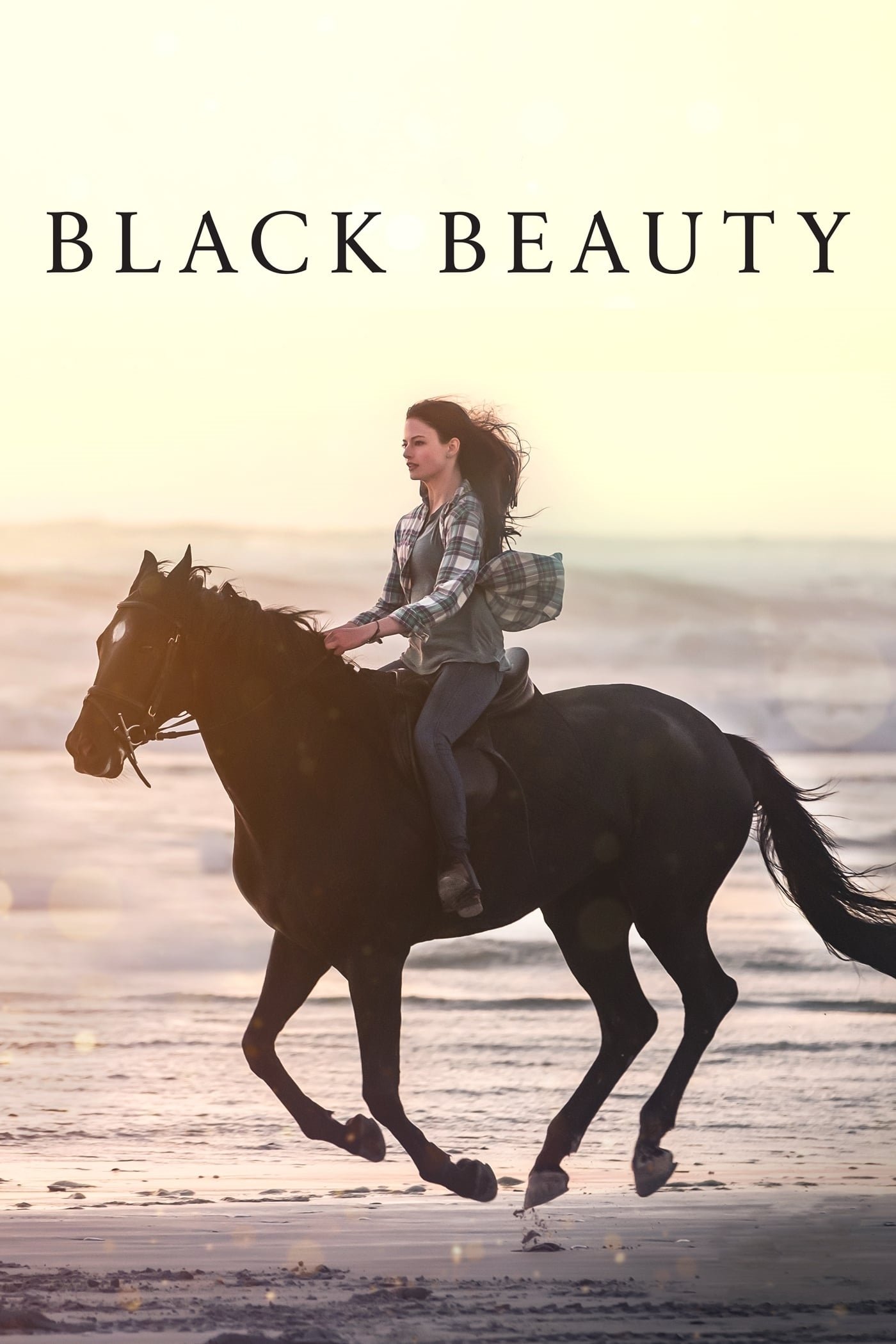 Black Beauty photo