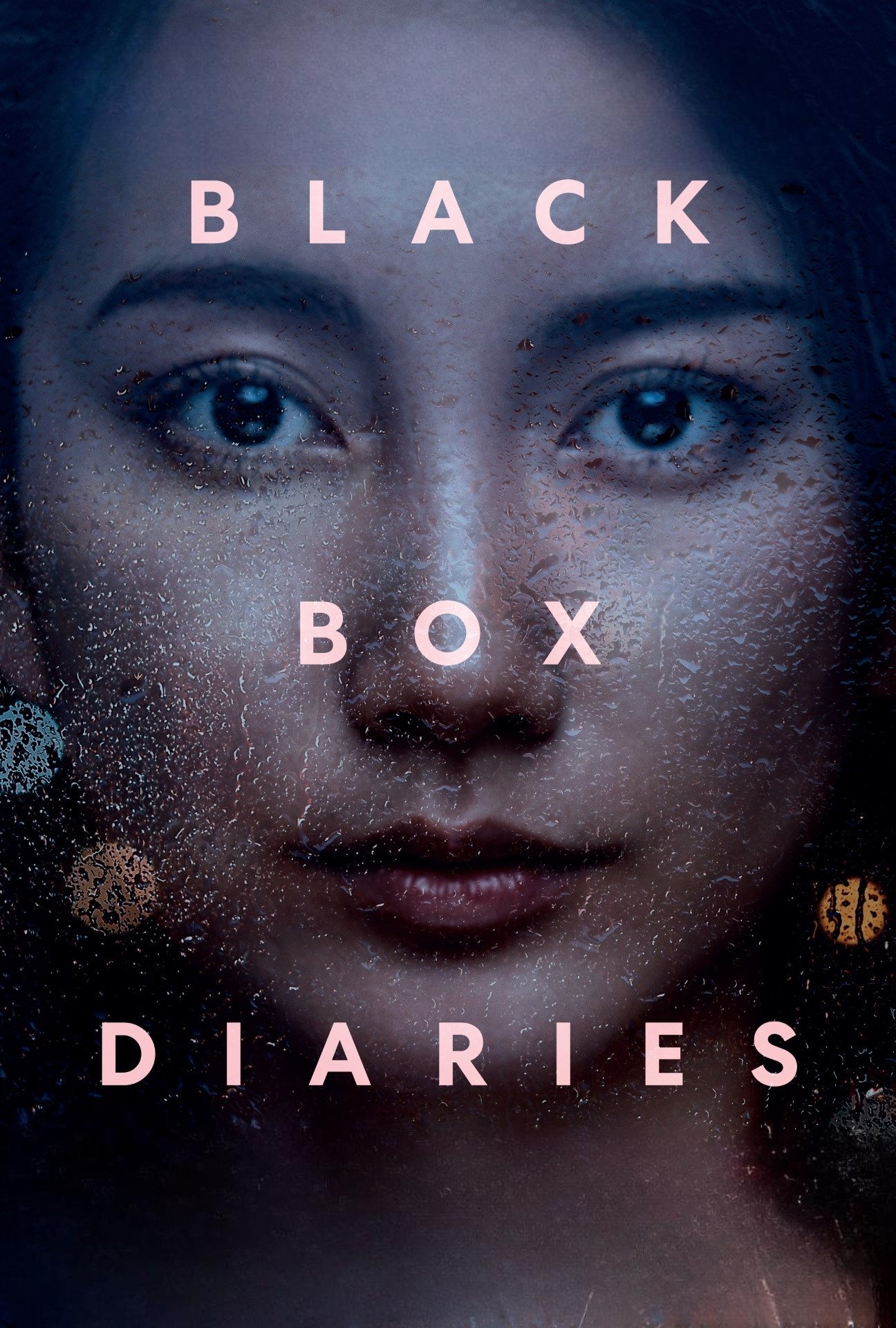 Black Box Diaries photo