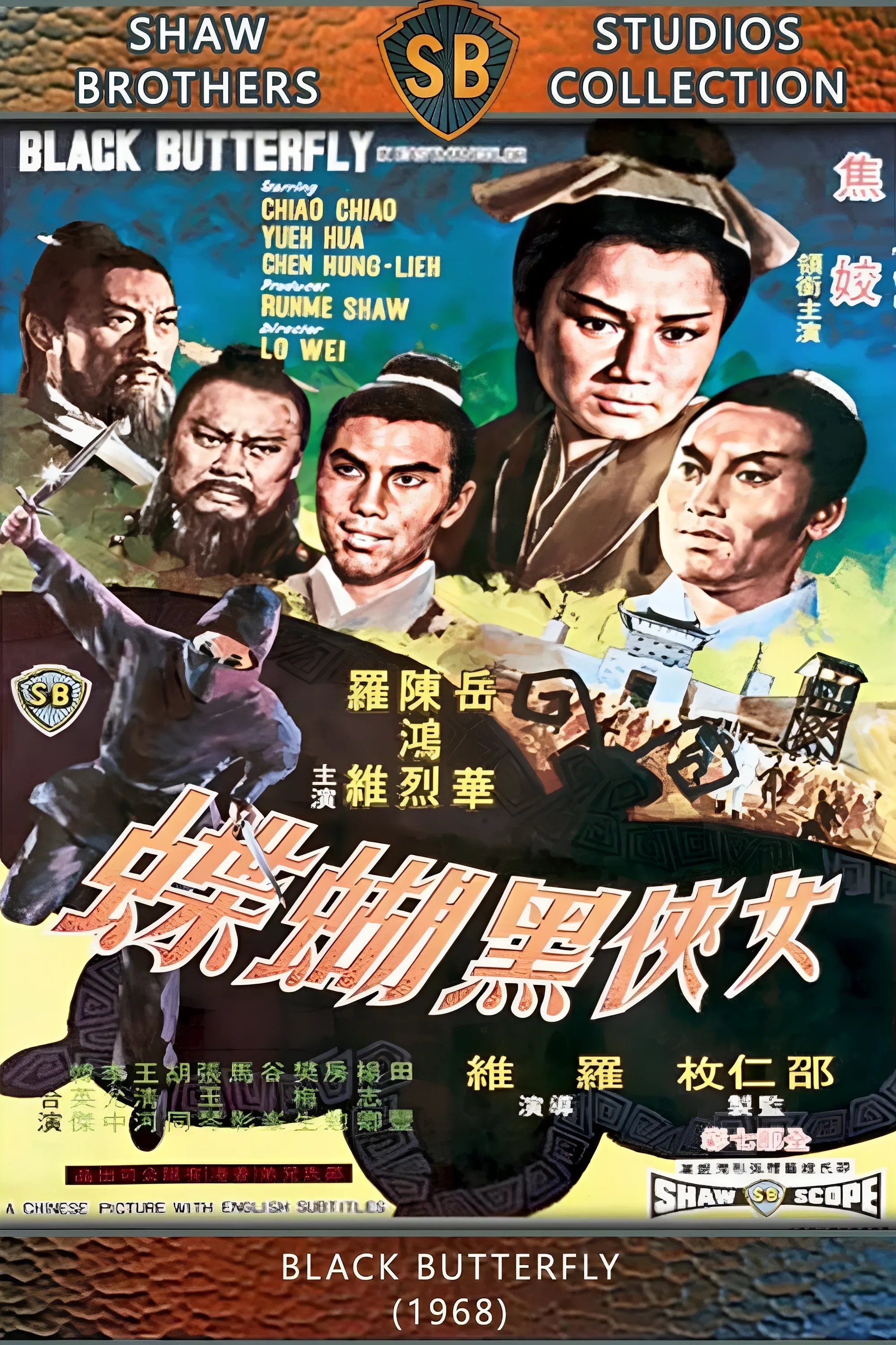 Black Butterfly photo