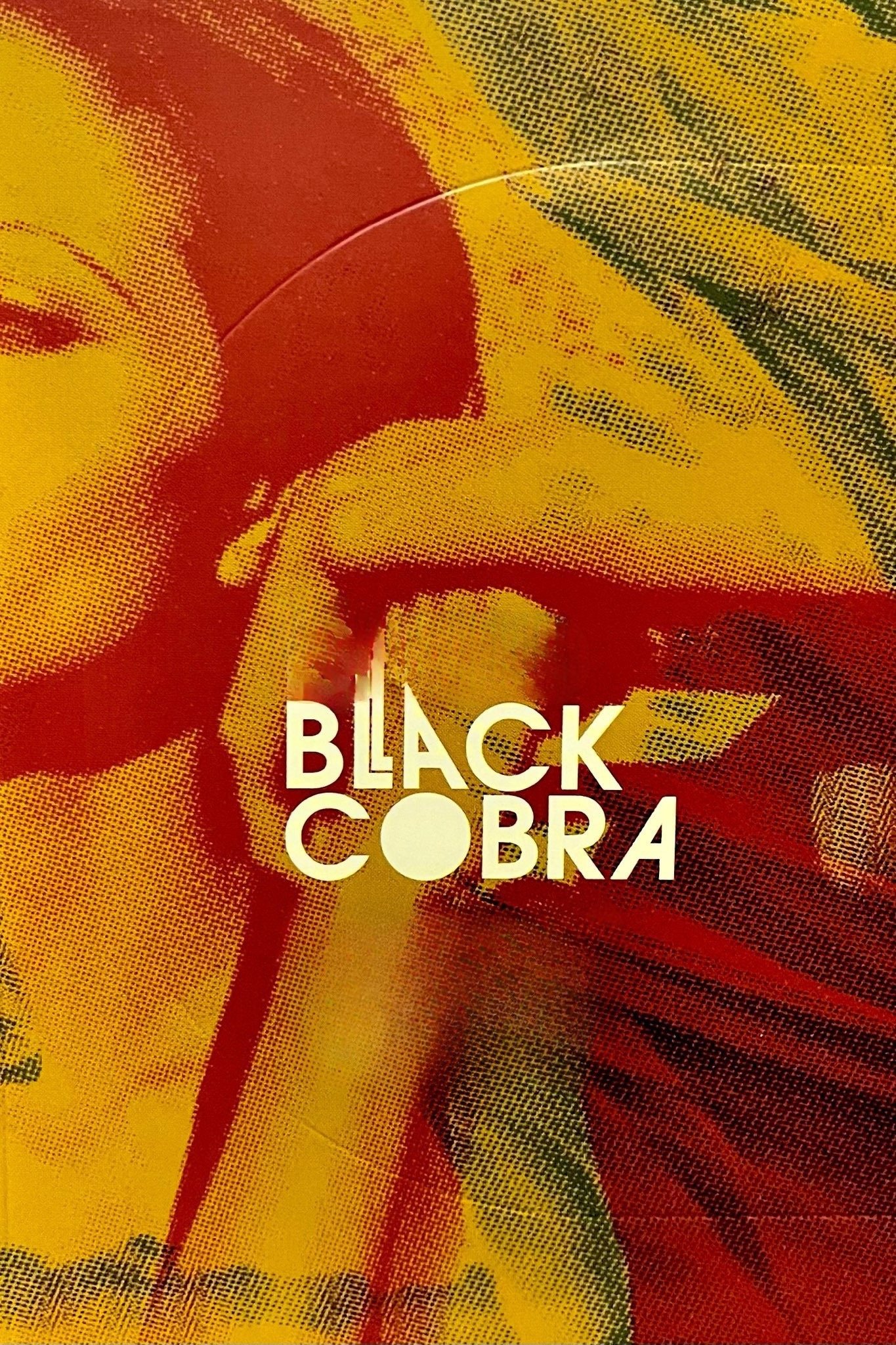Black Cobra photo