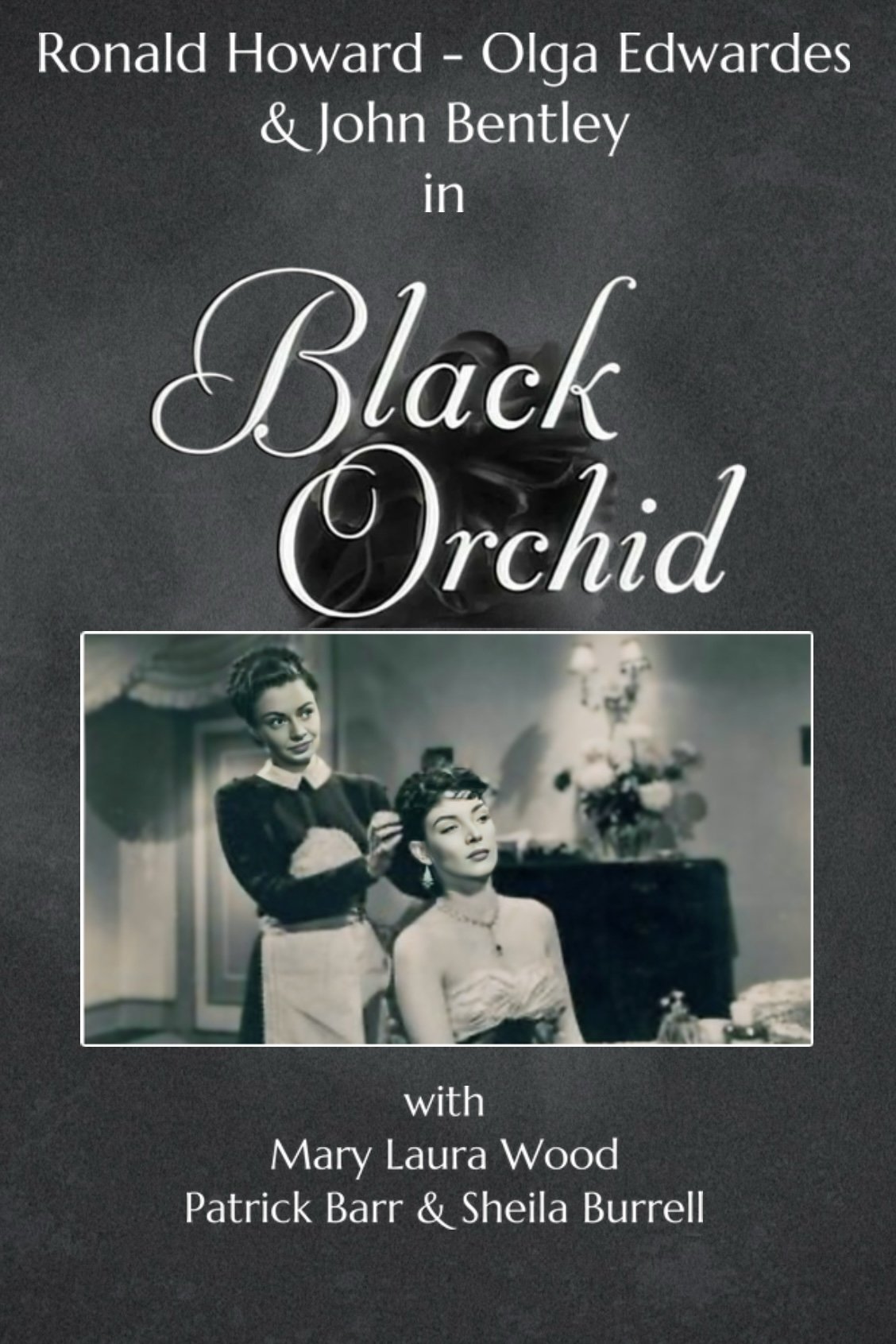 Black Orchid photo