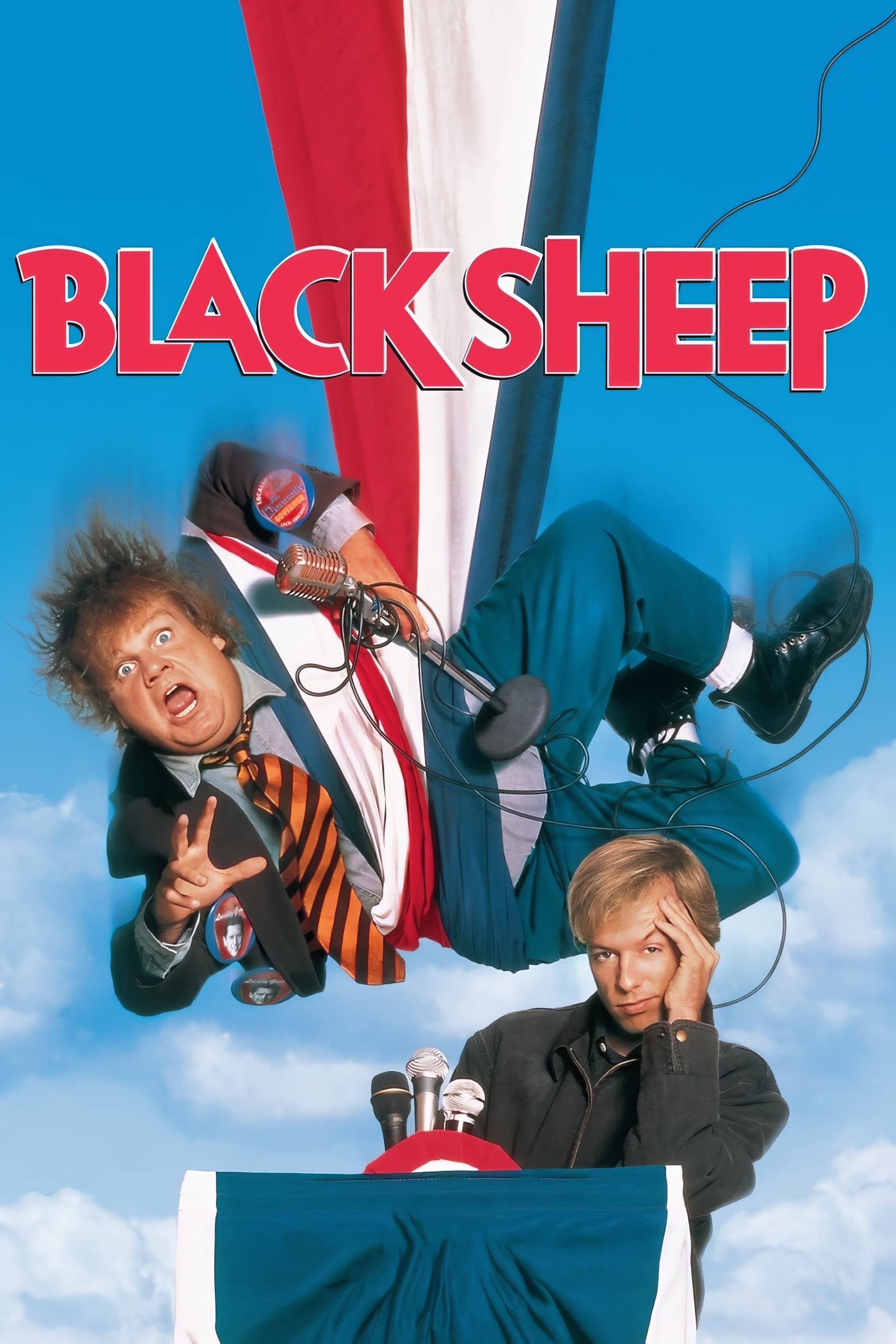 Black Sheep photo