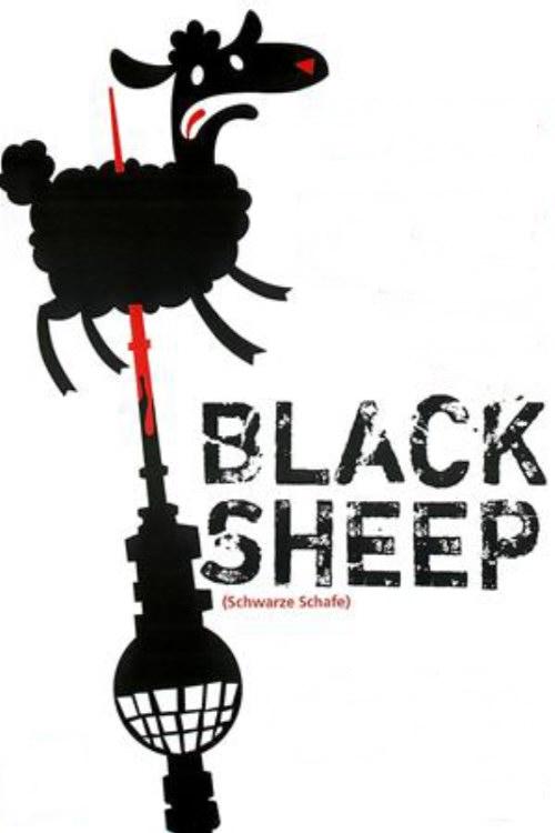 Black Sheep photo