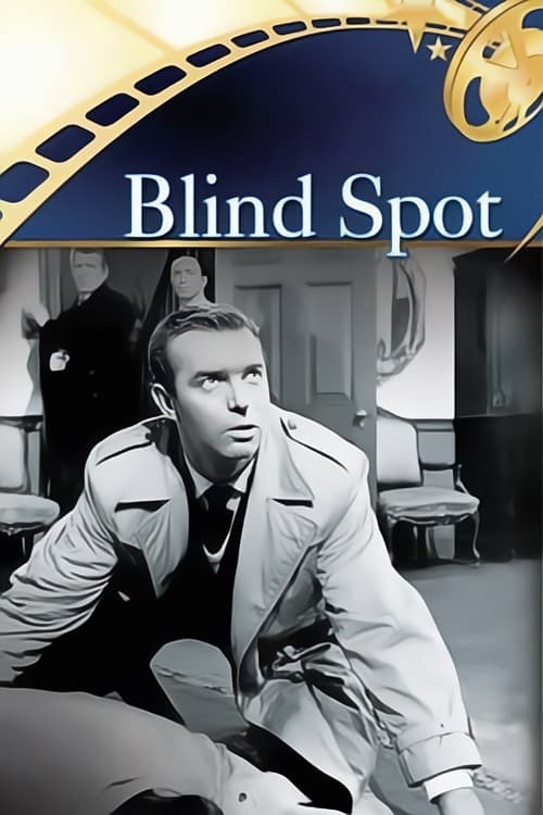 Blind Spot photo