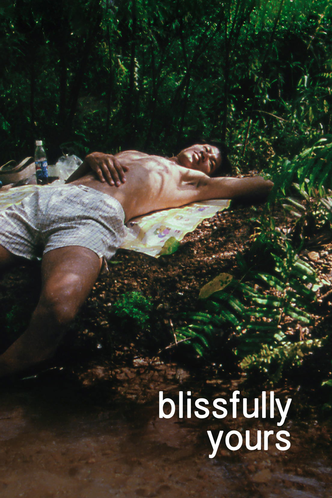 Blissfully Yours photo