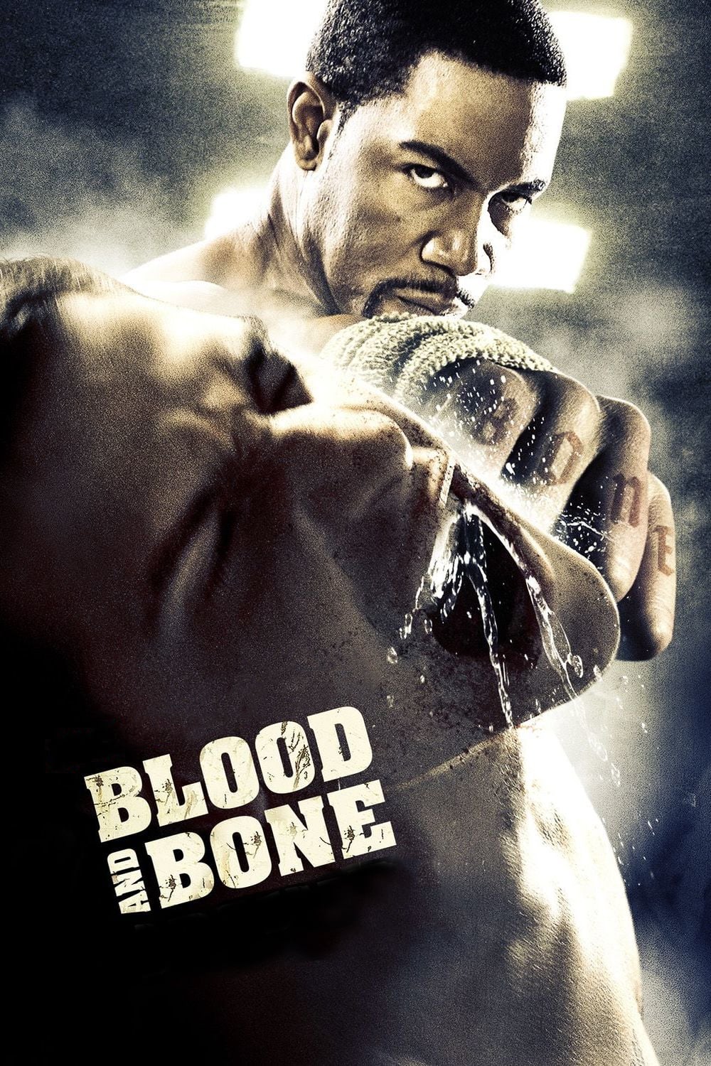 Blood and Bone photo