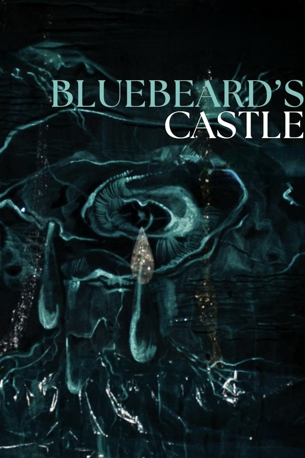 Bluebeard's Castle photo