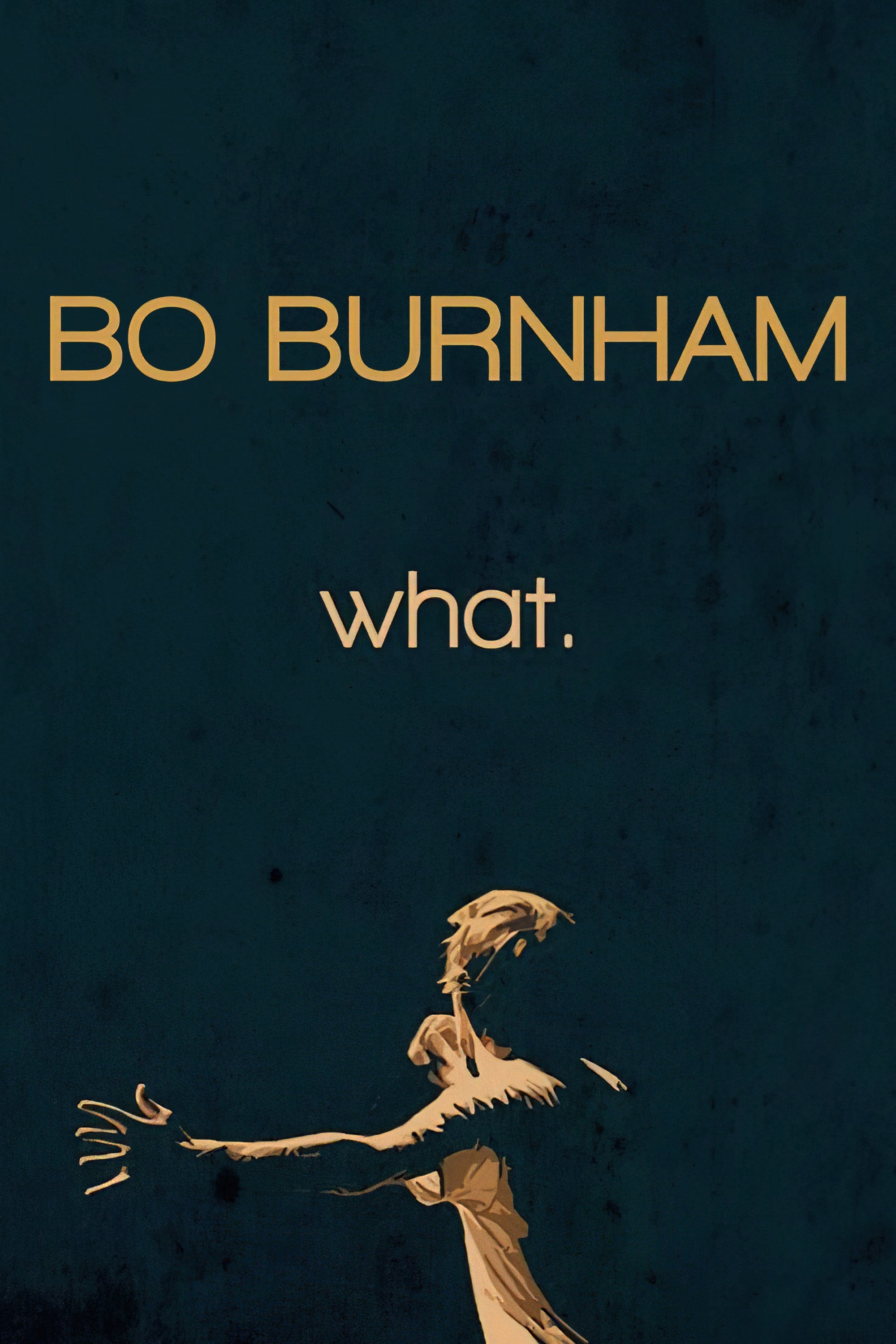 Bo Burnham: What. photo