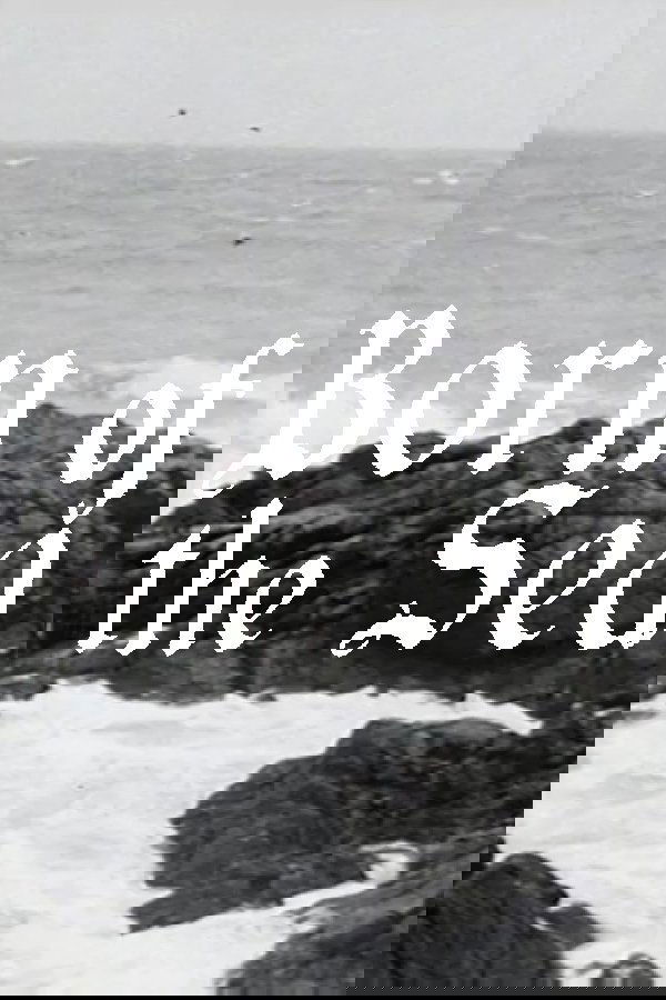 Born of the Sea photo