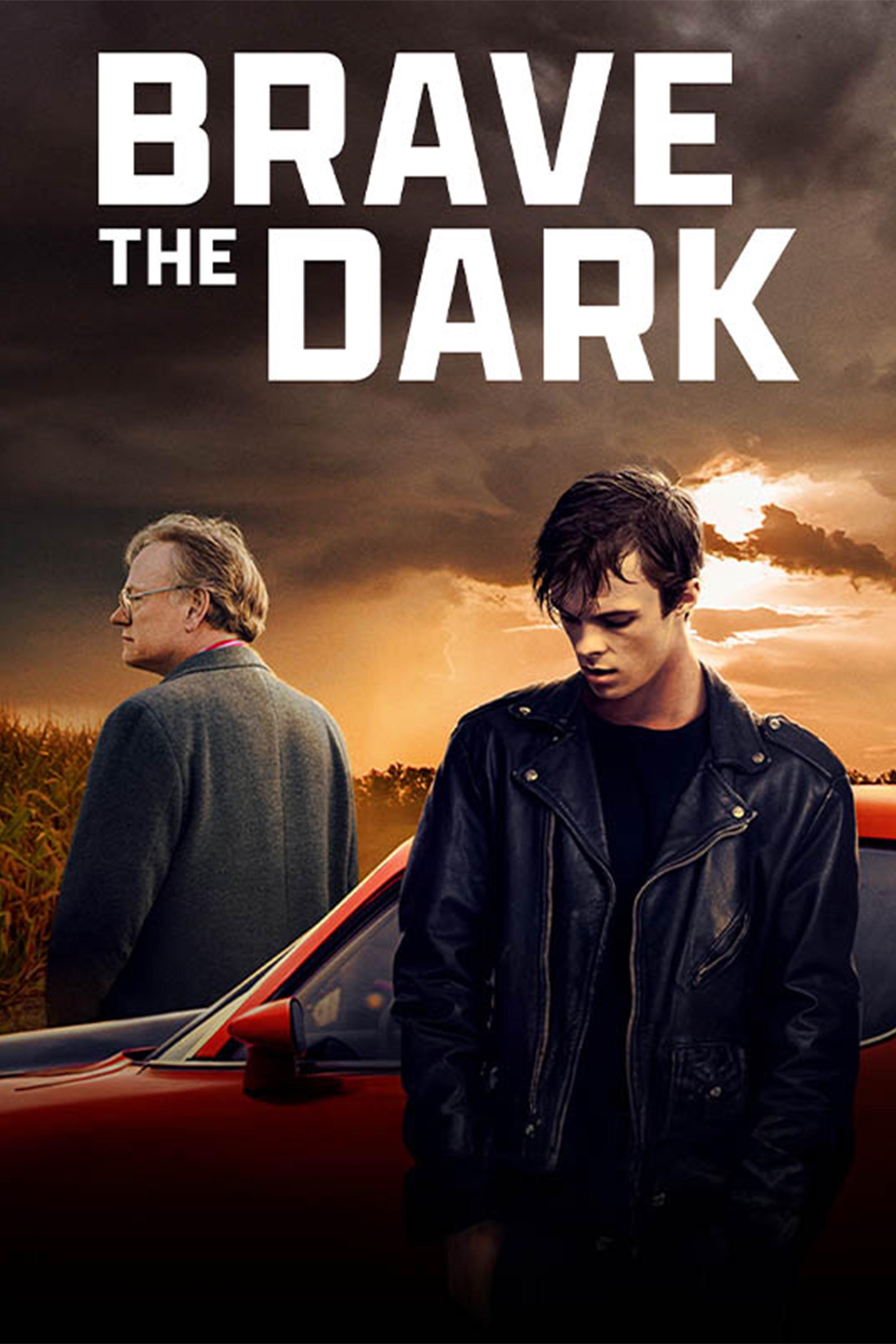 Brave the Dark photo