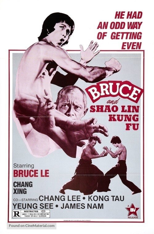 Bruce and Shaolin Kung Fu photo
