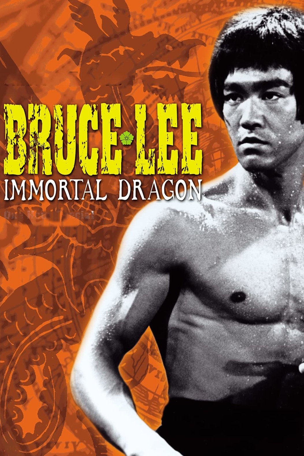 Bruce Lee: The Immortal Dragon photo