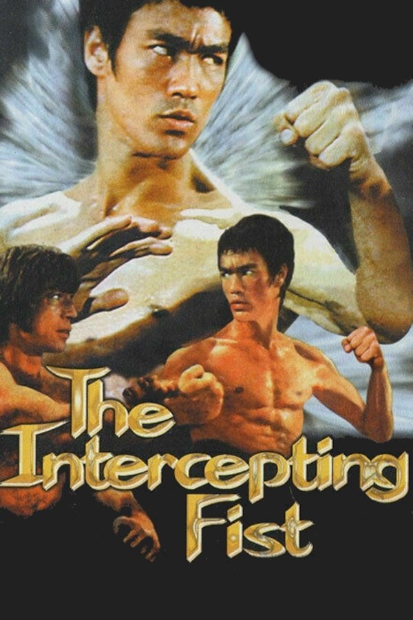 Bruce Lee: The Intercepting Fist photo