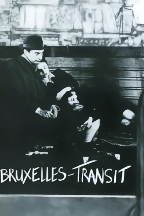 Brussels-Transit photo