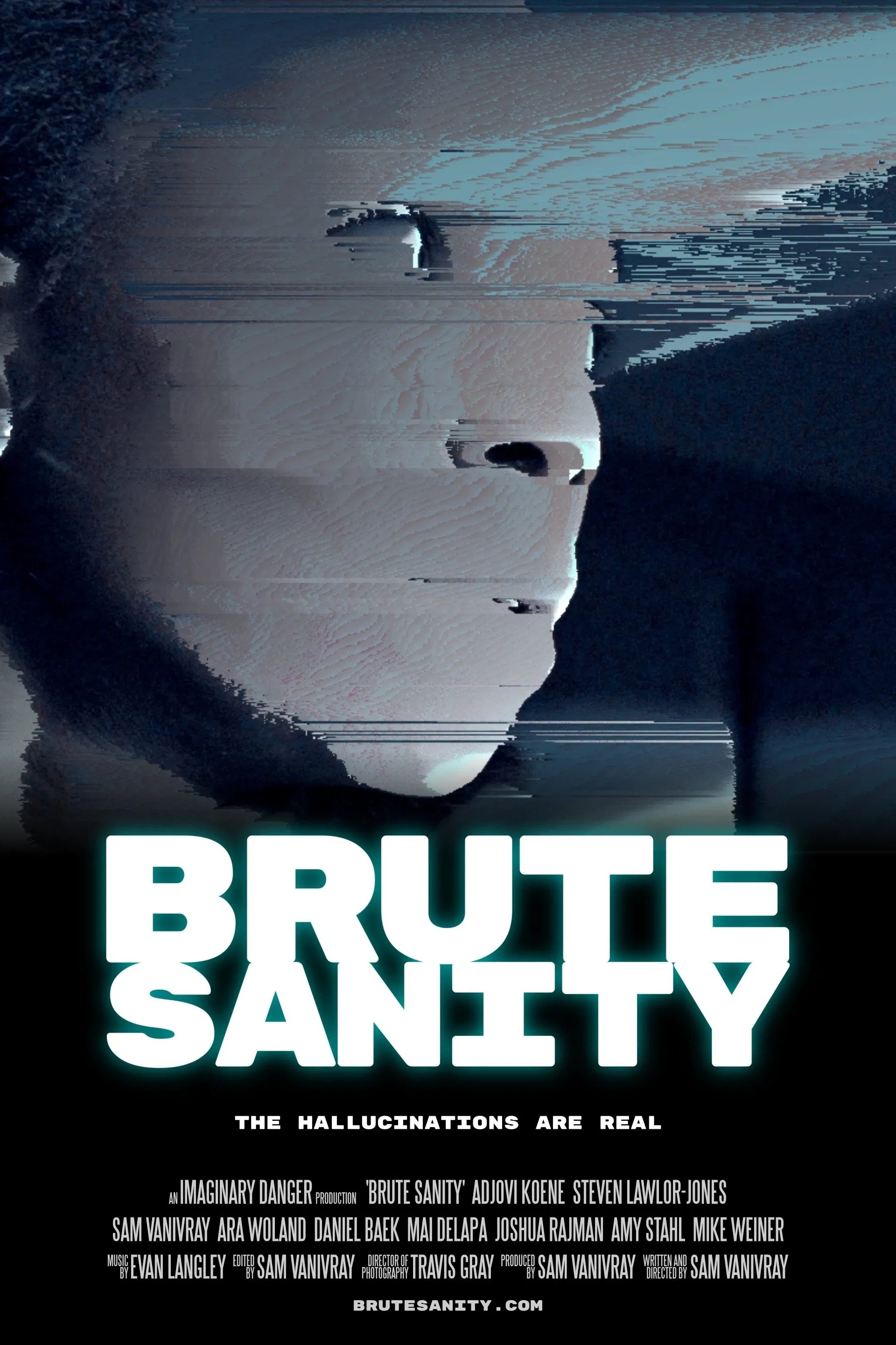 Brute Sanity photo