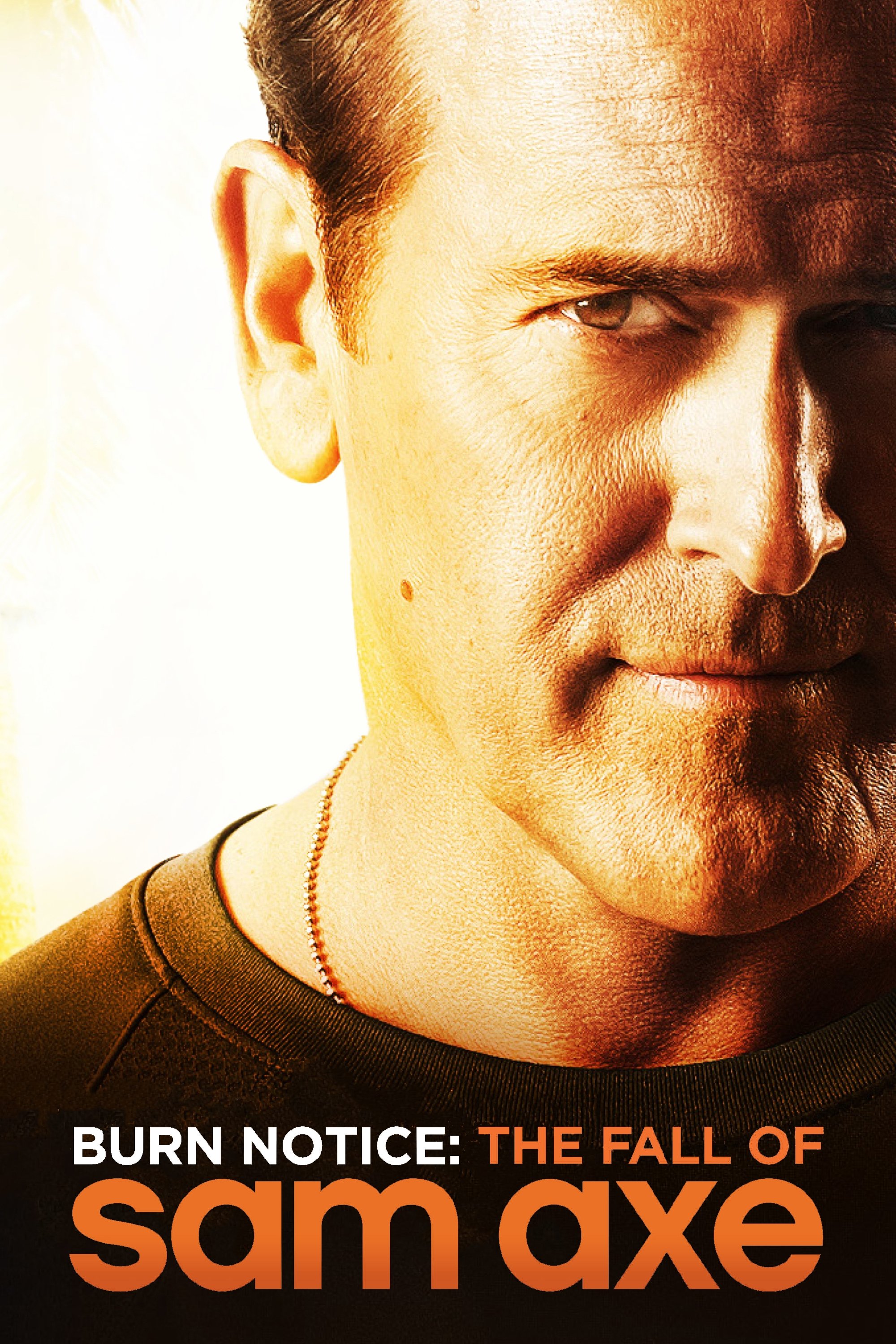 Burn Notice: The Fall of Sam Axe photo
