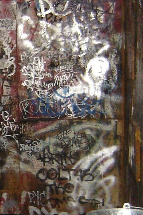 Burning Down the House: The Story of CBGB photo