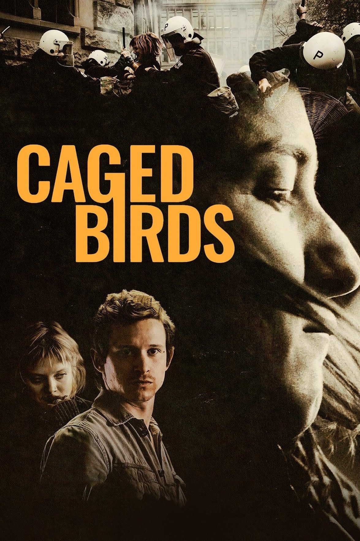 Caged Birds photo