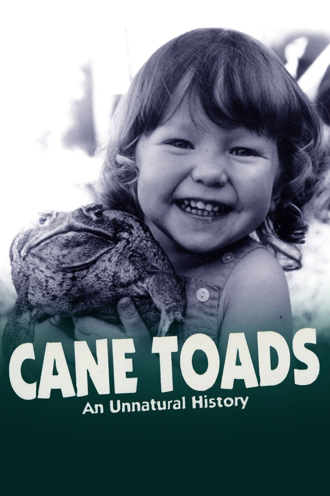 Cane Toads: An Unnatural History photo