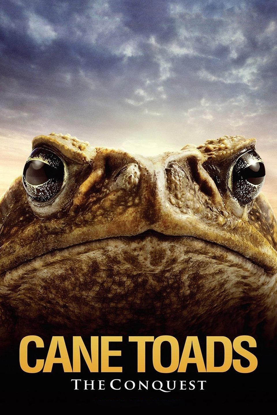 Cane Toads: The Conquest photo