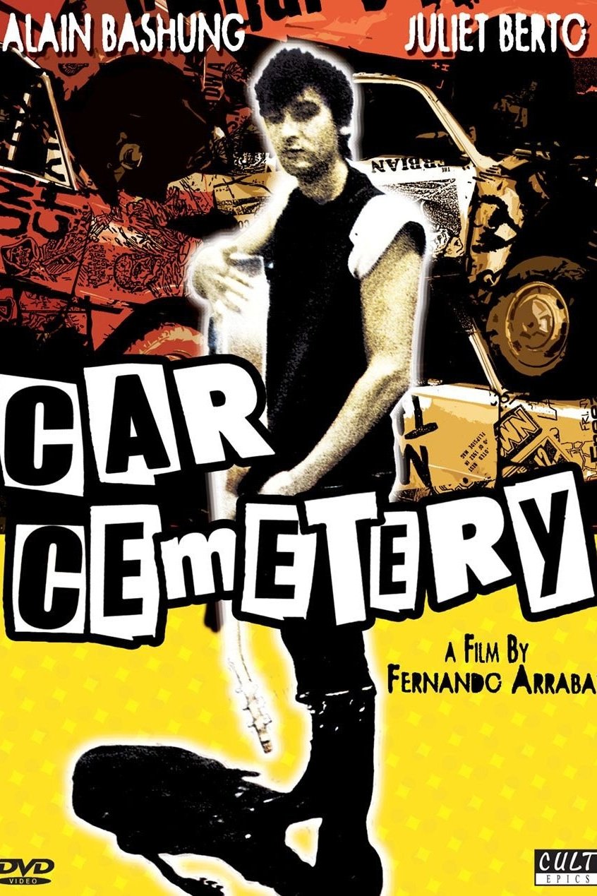 Car Cemetery photo