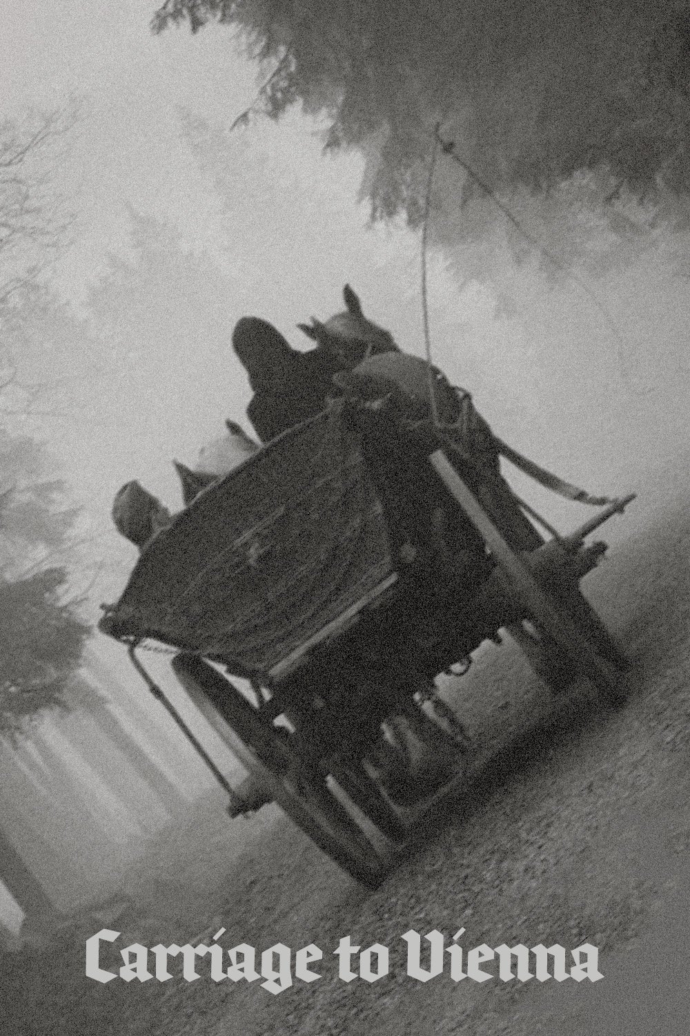 Carriage to Vienna photo