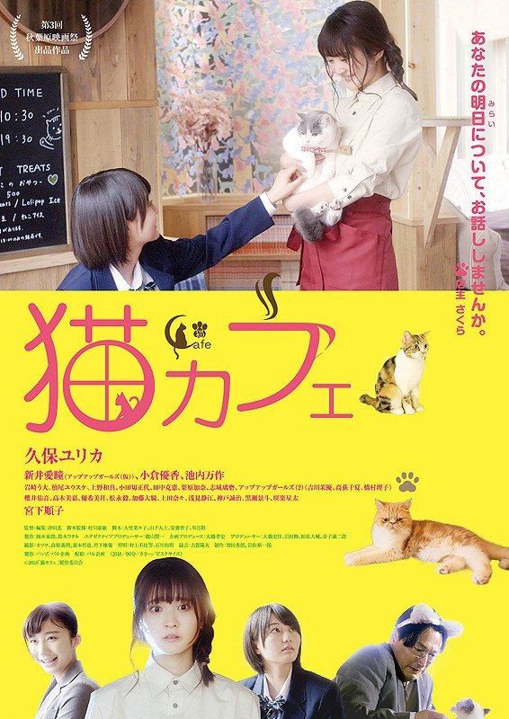 Cat Cafe photo