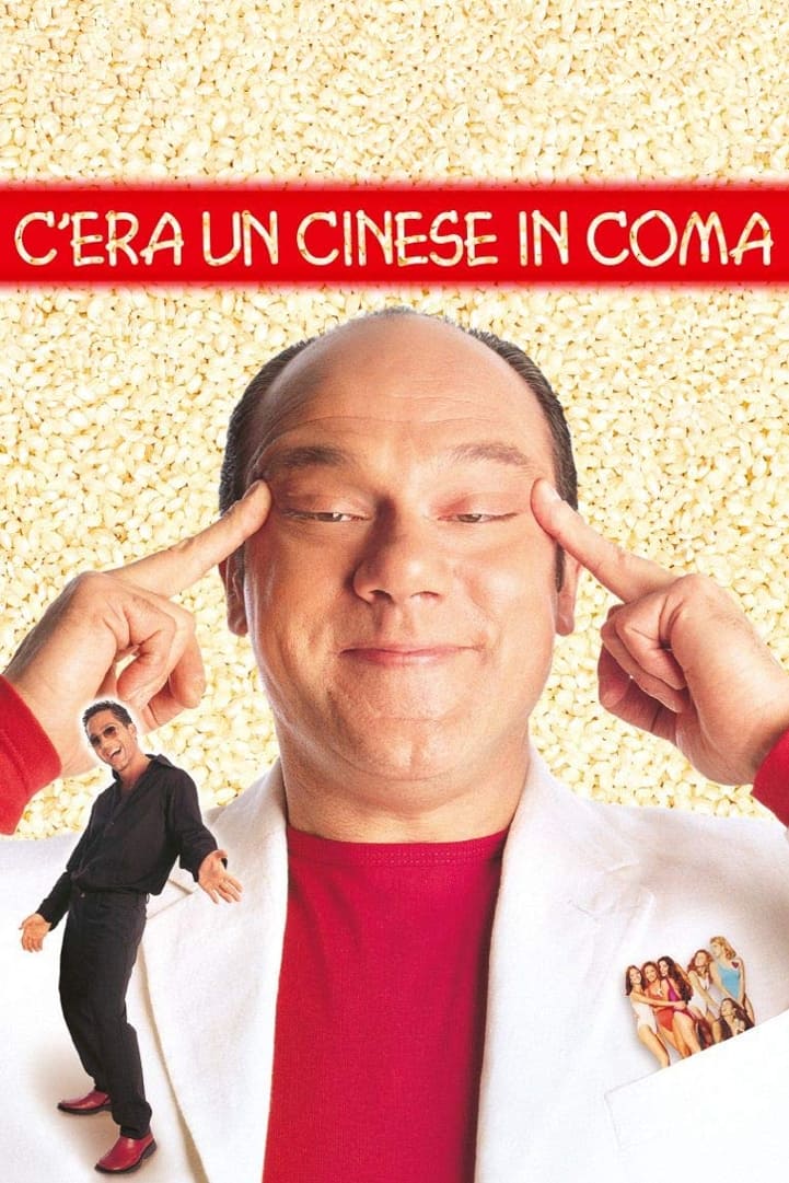 C'era un cinese in coma photo