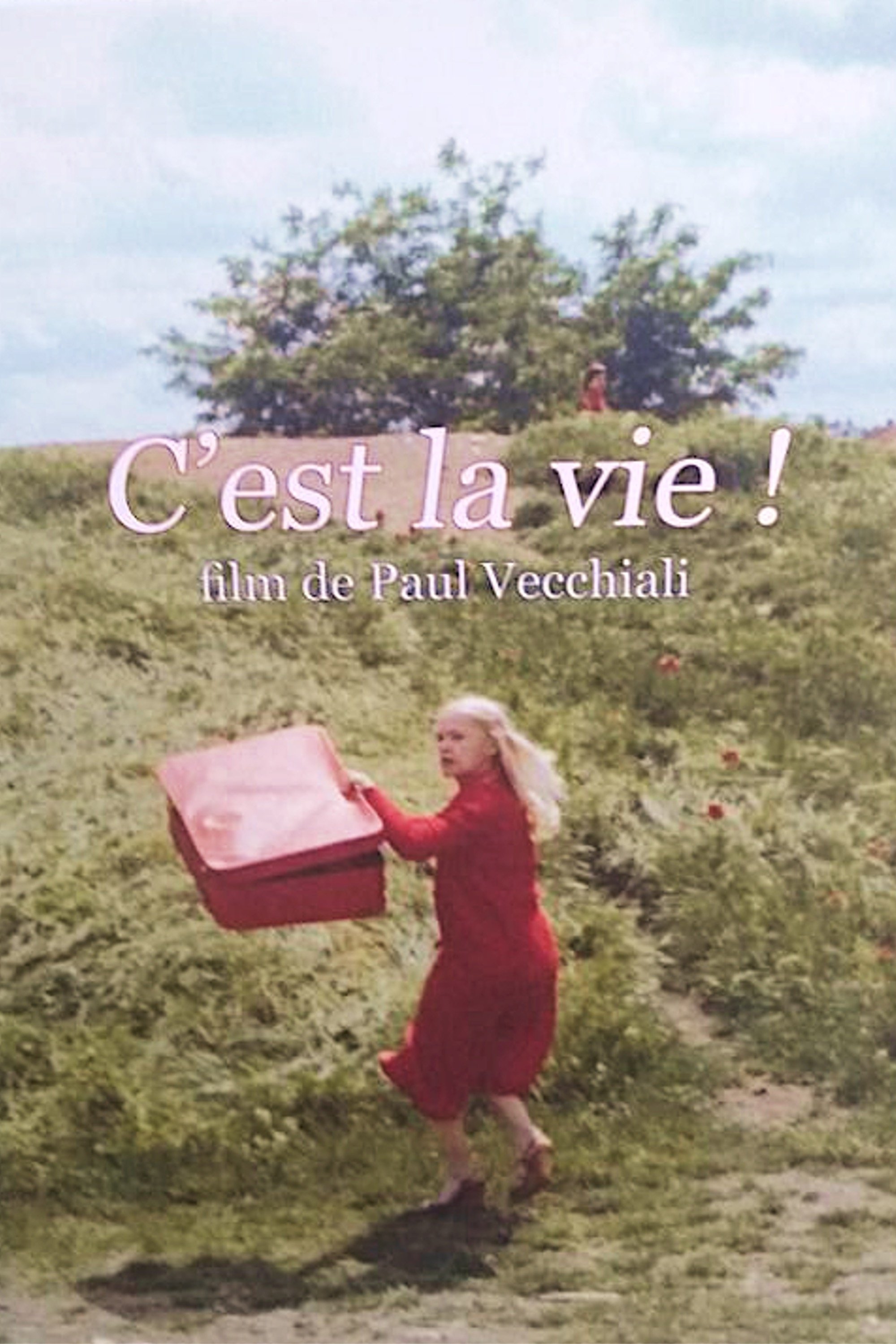 C'est la vie ! photo