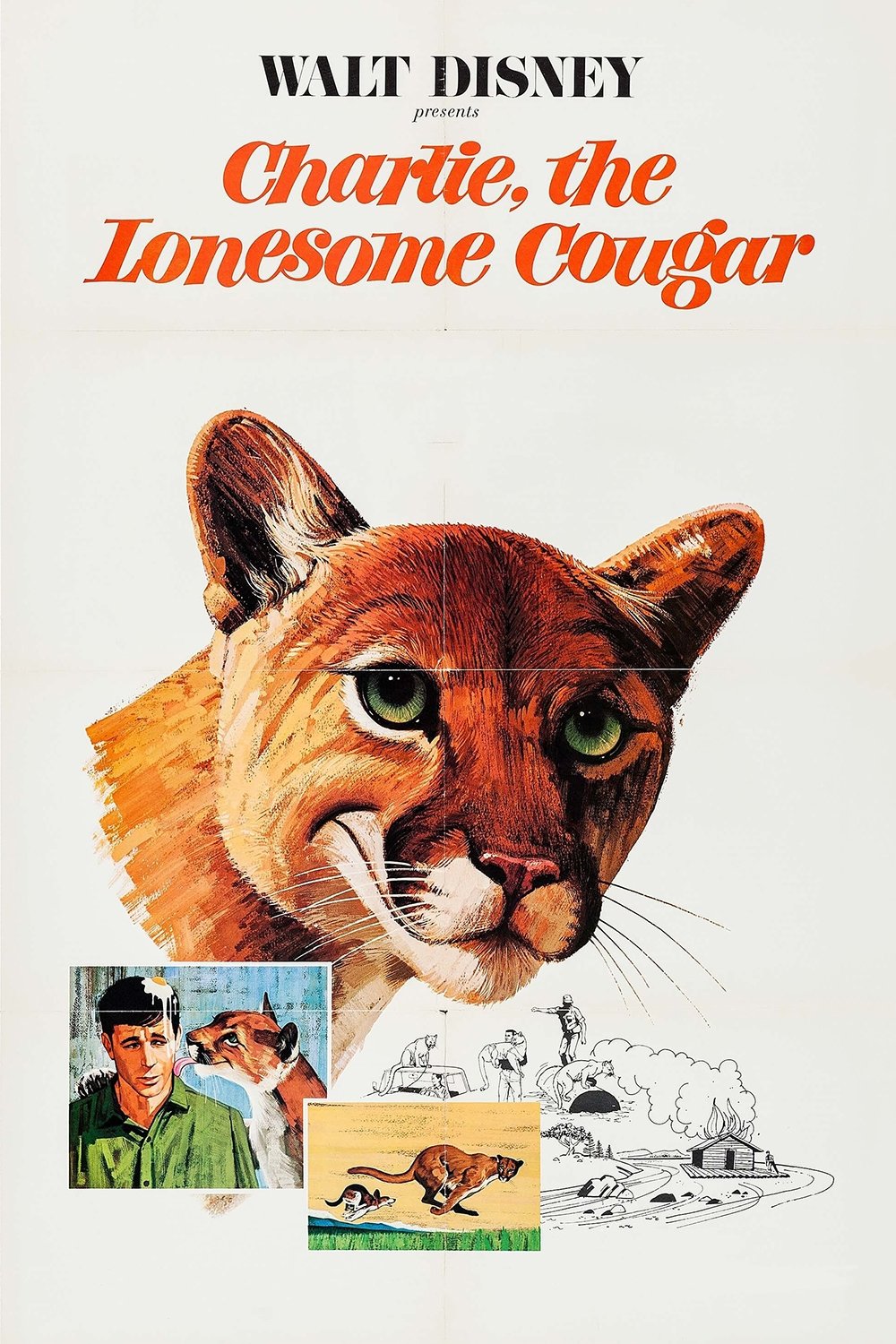 Charlie, the Lonesome Cougar photo