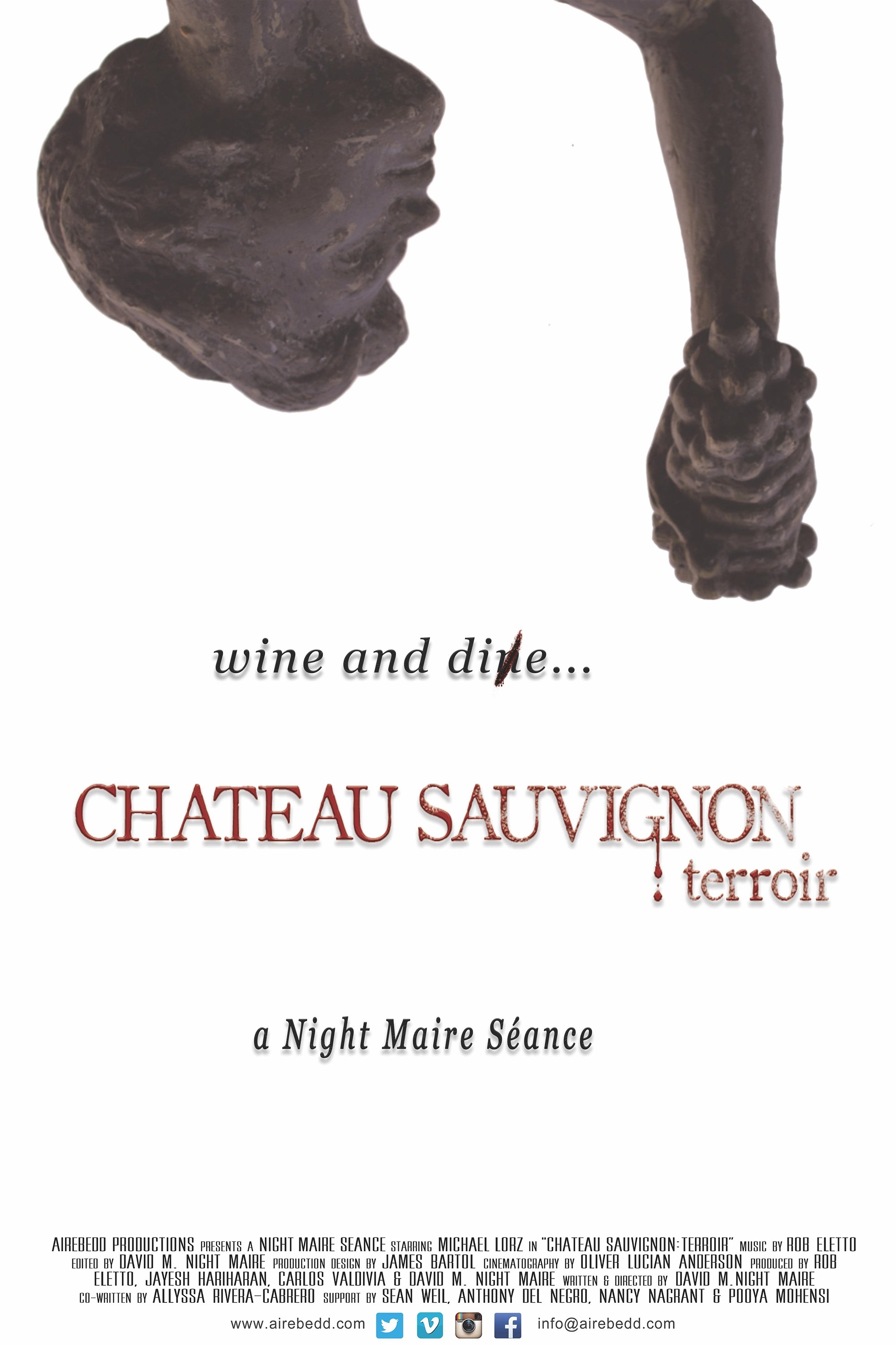 Chateau Sauvignon: terroir photo
