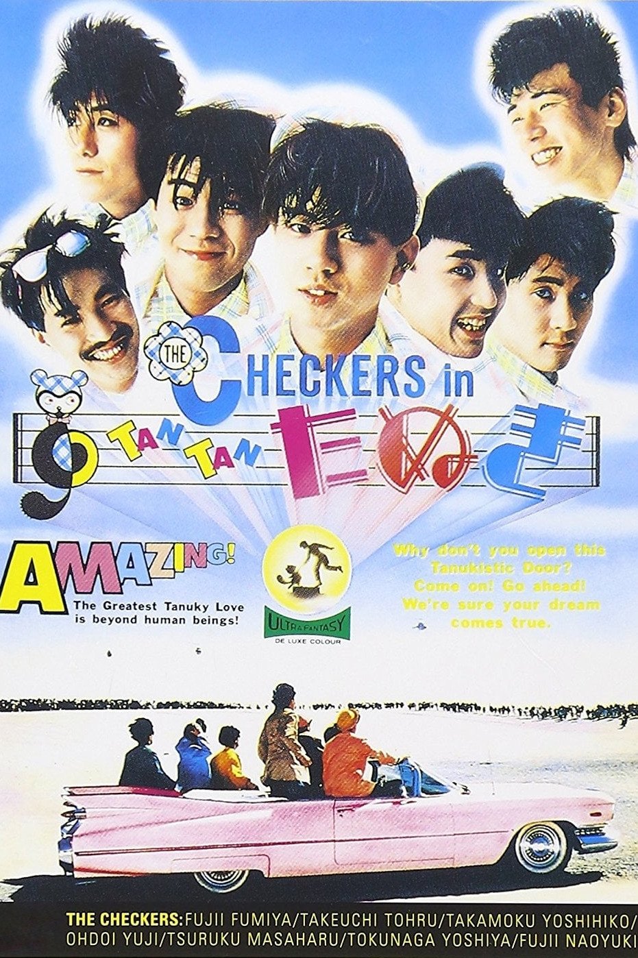 Checkers in Tan Tan tanuki photo