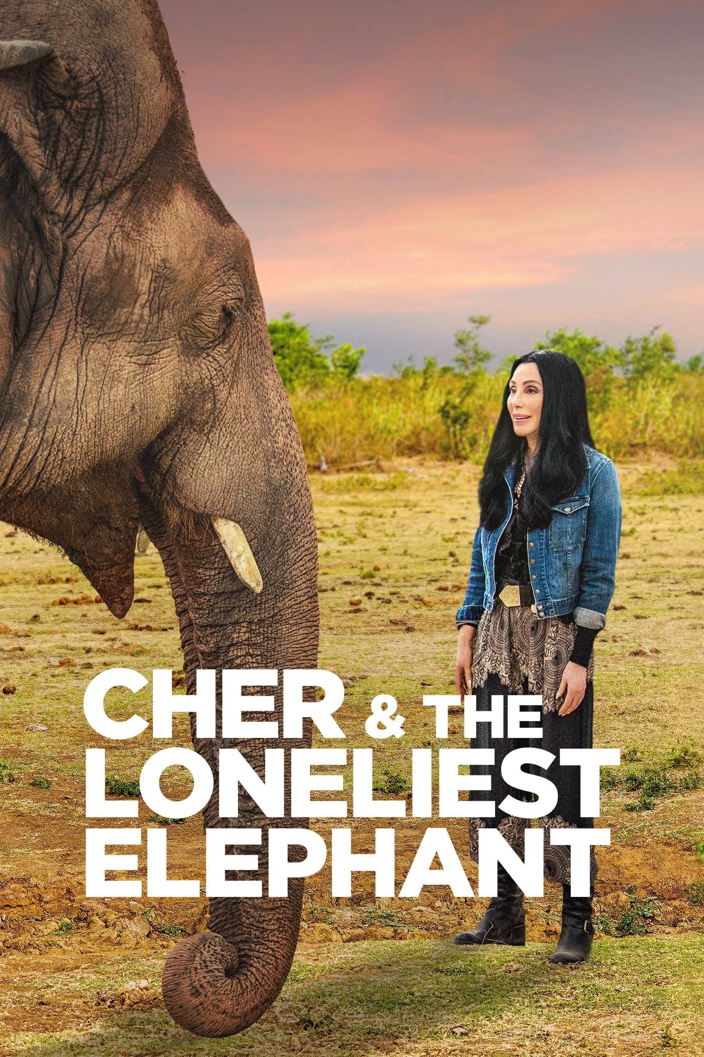 Cher & the Loneliest Elephant photo