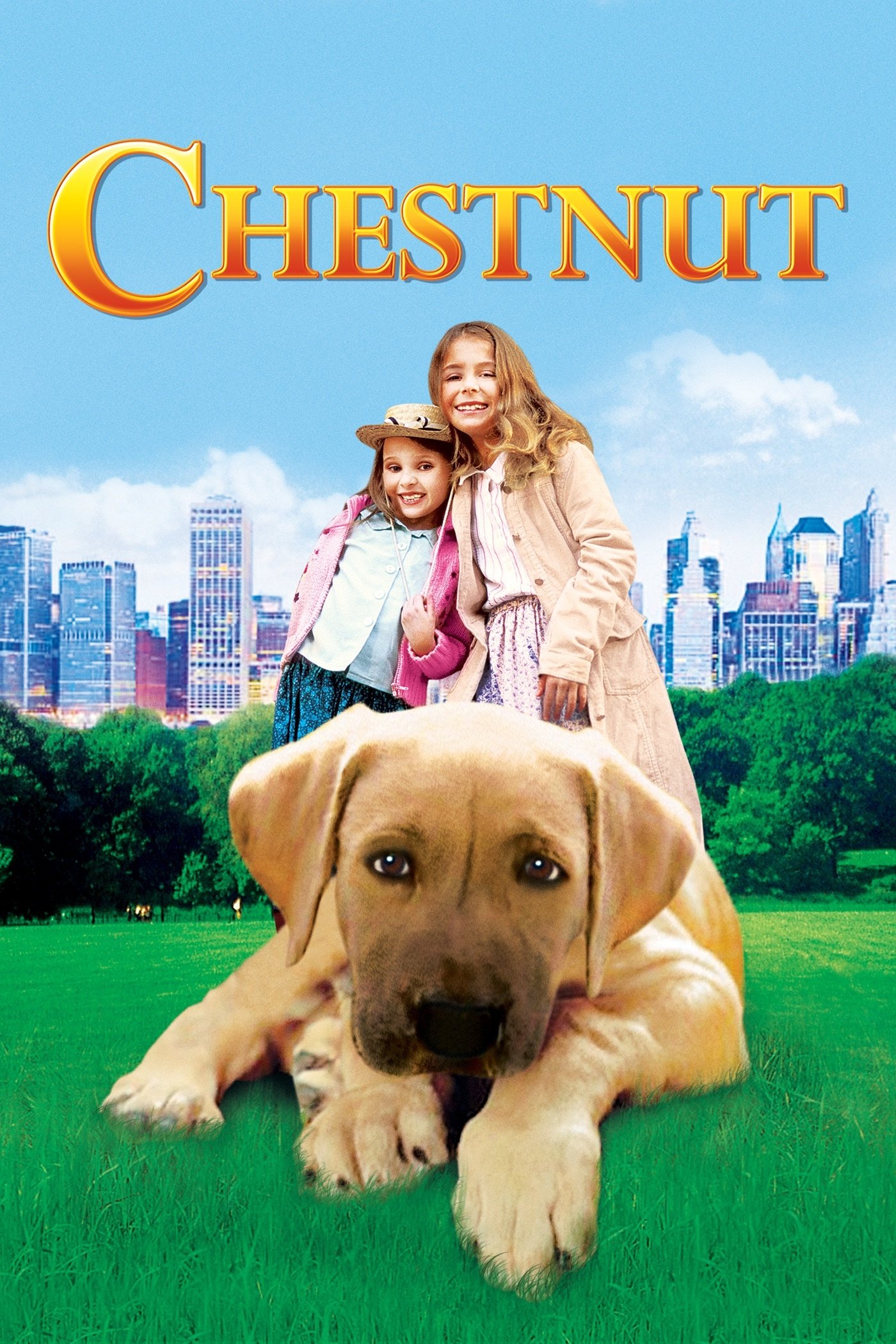 Chestnut: Hero of Central Park photo