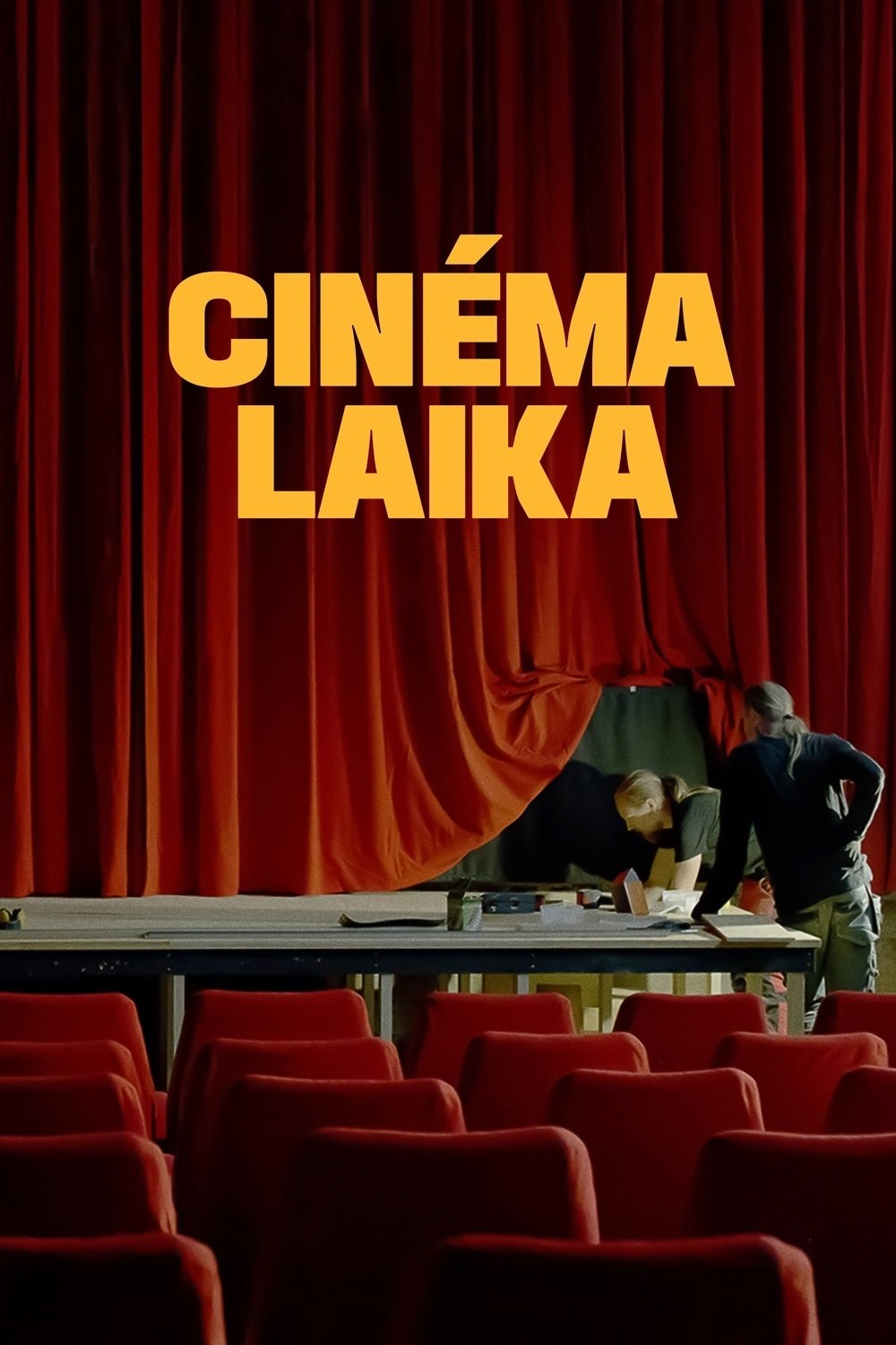 Cinéma Laika photo
