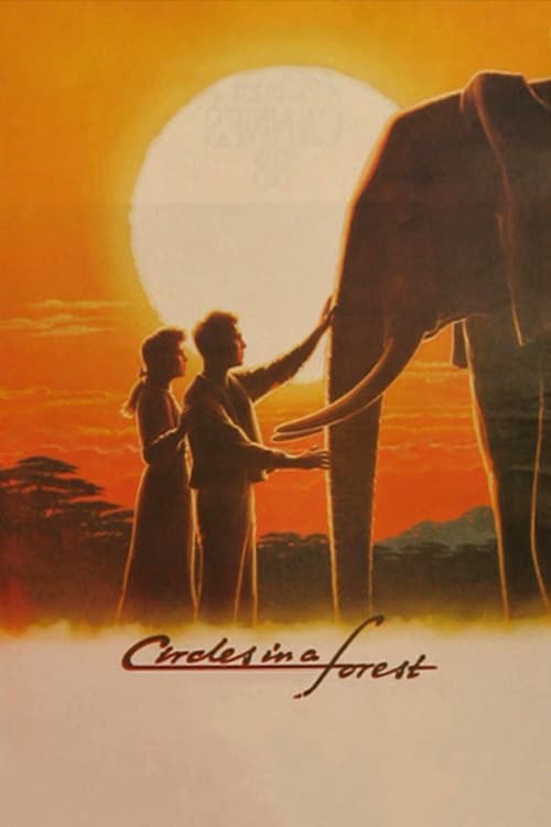 Circles in a Forest photo