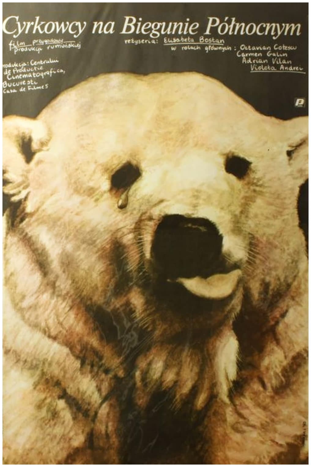 Circus Performers at the North Pole photo