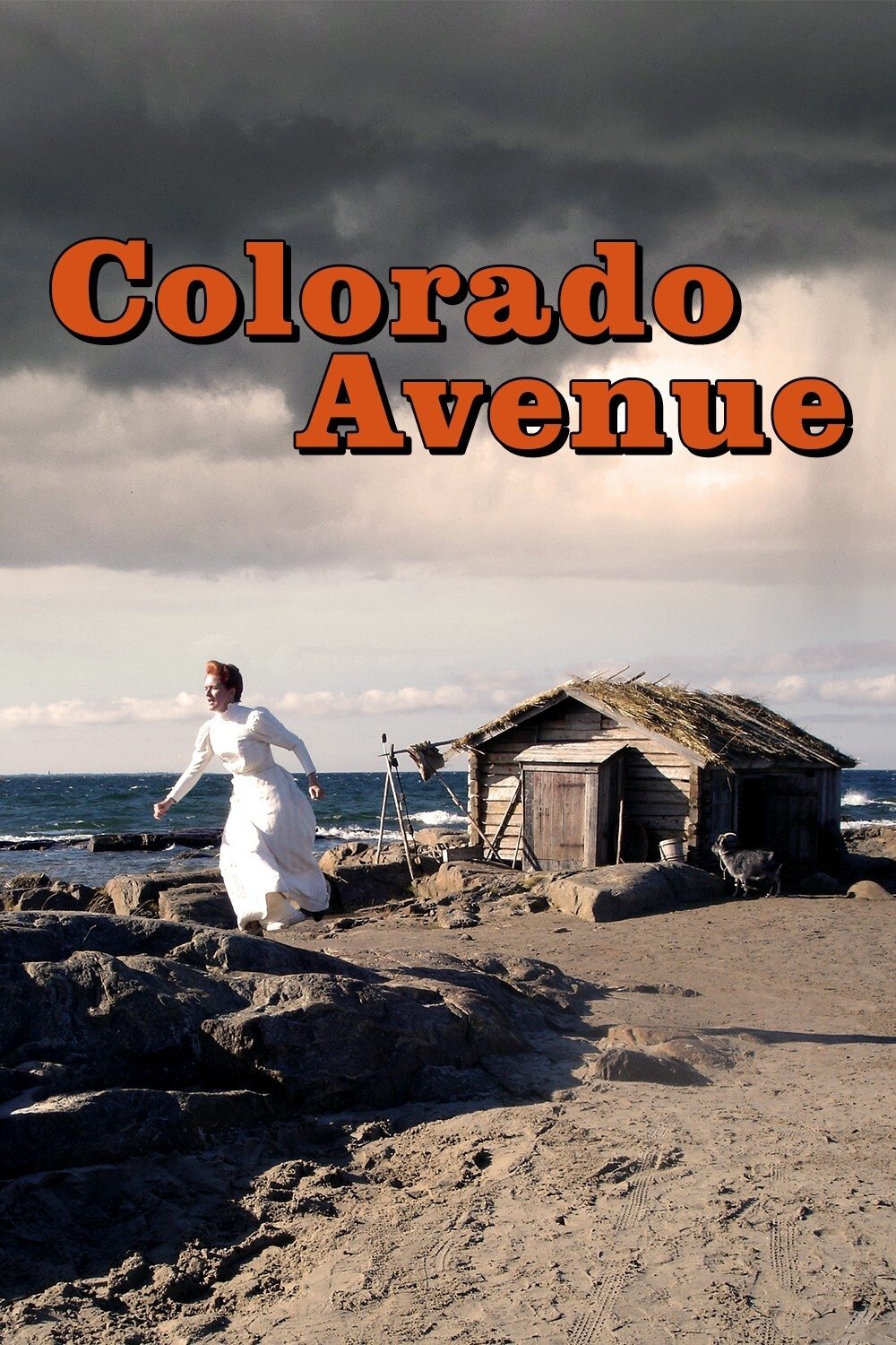 Colorado Avenue photo